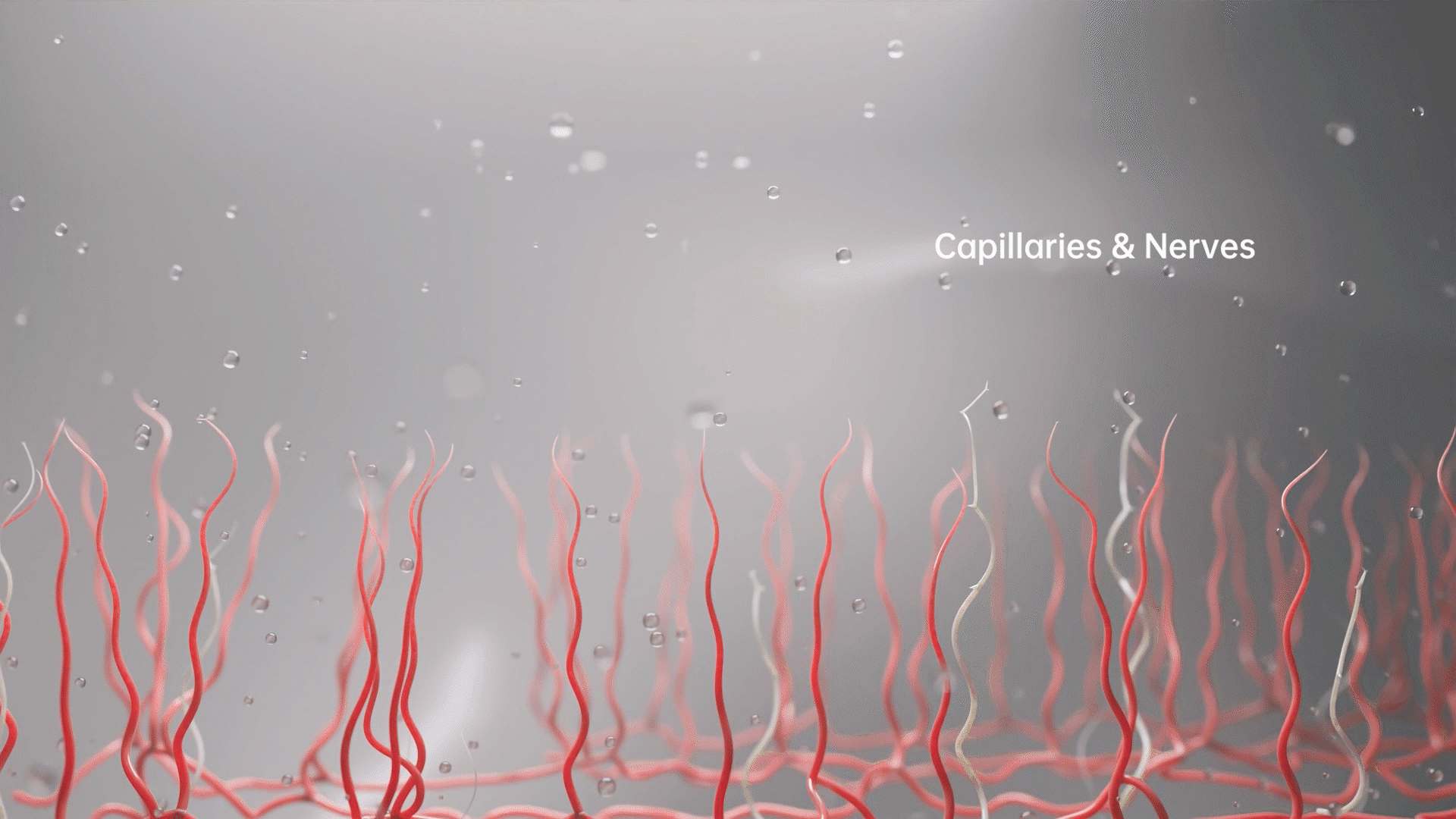 医疗品牌设计|甲方让60天还原皮肤愈合过程?