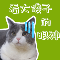 叮当的单身生活（图ZMzEzNzU3MjYw） - 网络表情 - 站酷设计师runningPP原创素材 - 站酷ZCOOL