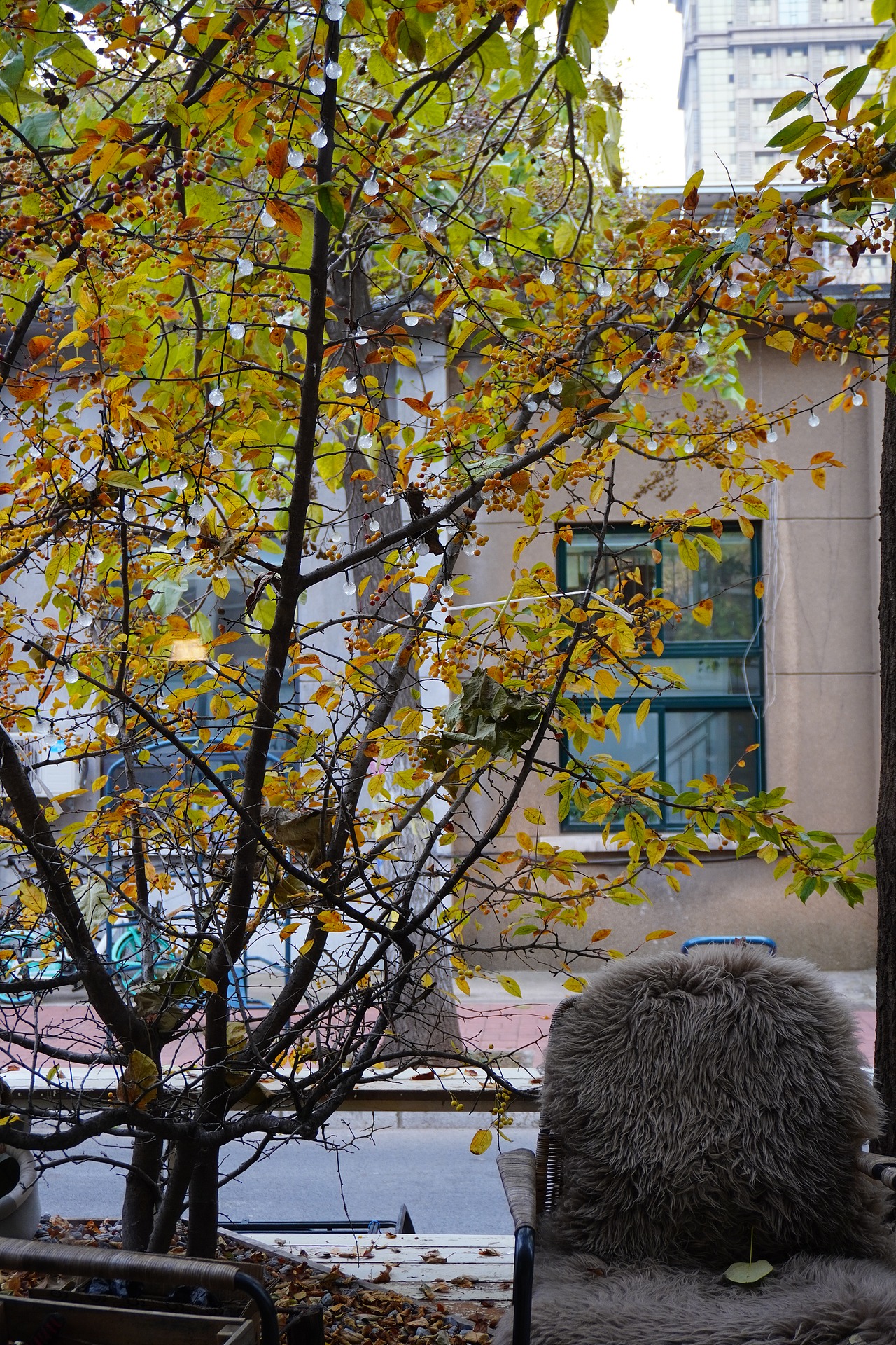 缓存的温柔（图ZMzIzMzA1OTk2） - 人文/纪实摄影 - 站酷设计师blink经纬原创素材 - 站酷ZCOOL