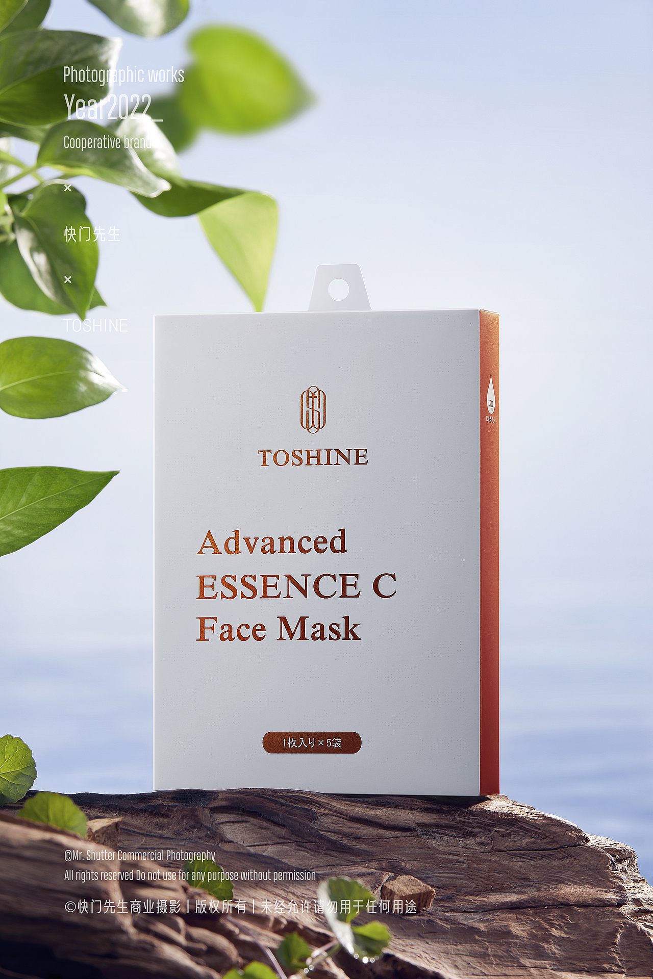 TOSHINE | 品牌新视觉作品分享