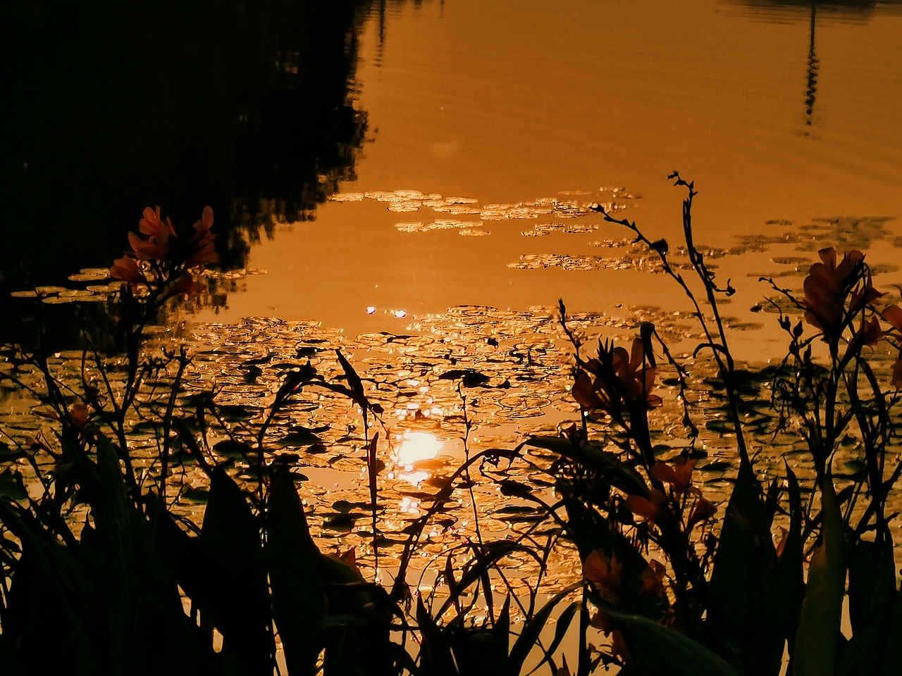 日出日落（图ZMzUyNDY1NTE2） - 风光摄影 - 站酷设计师园游会有缘原创素材 - 站酷ZCOOL