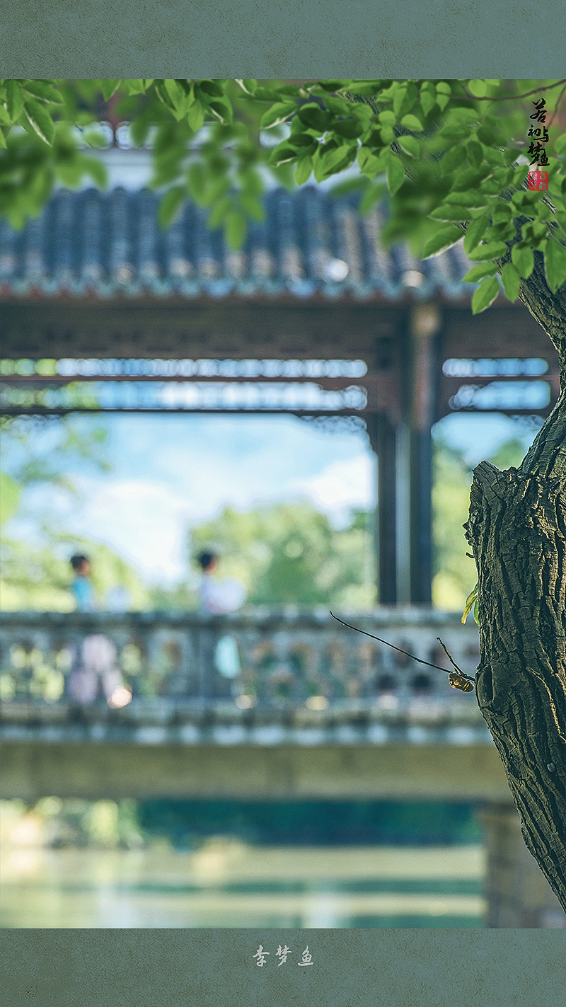 人生若只如初见梦鱼