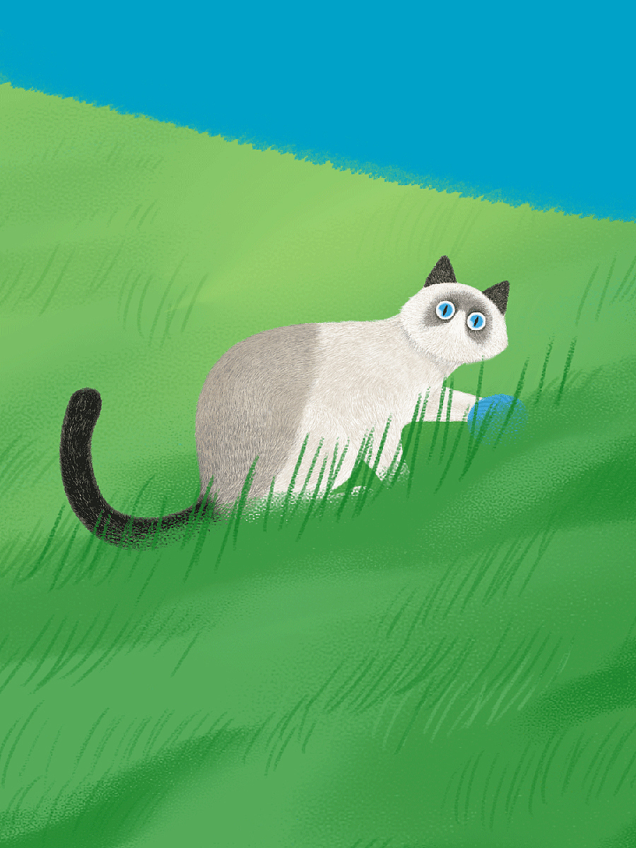 儿童节 短视频 曼玉餐厅