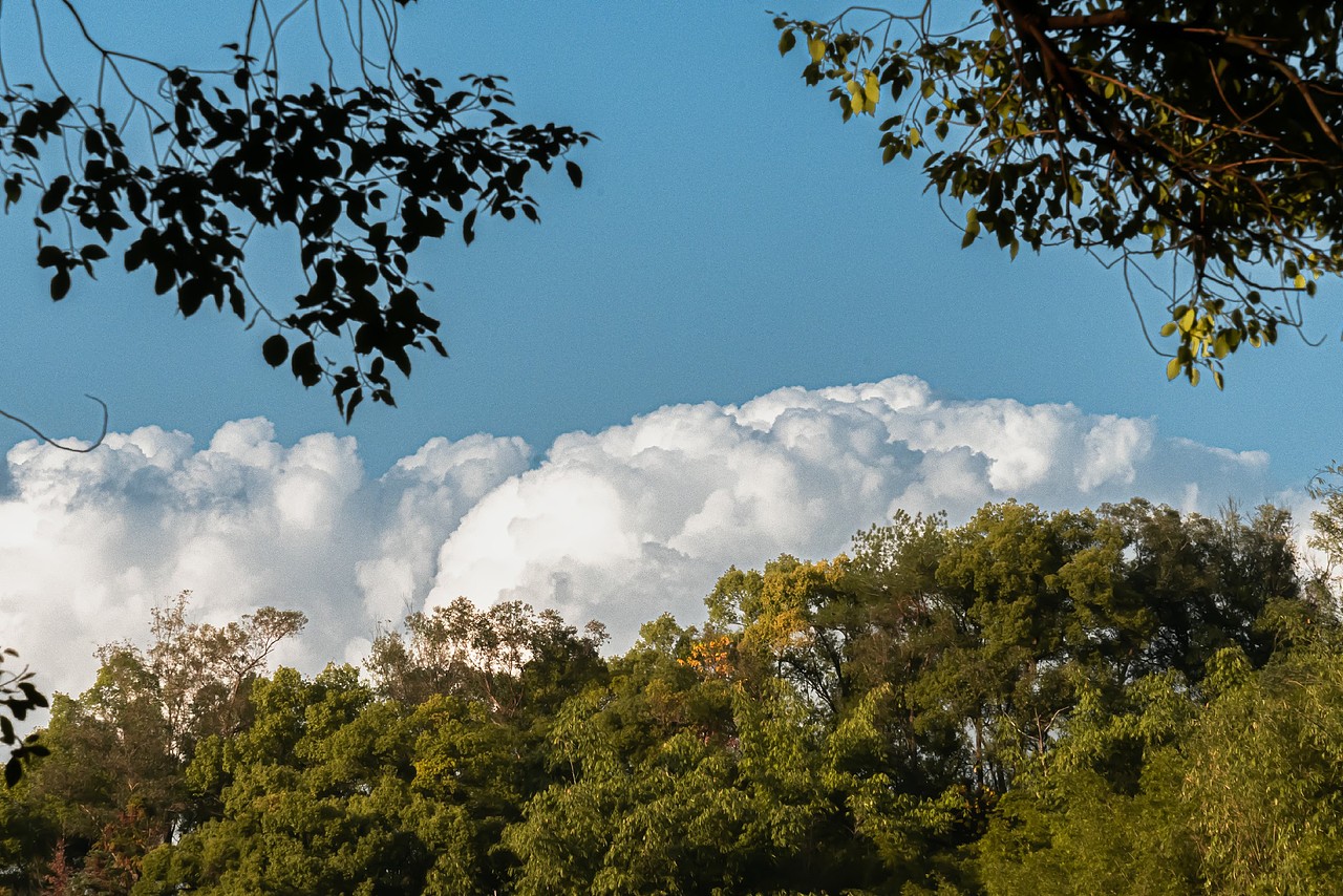 摄影练习-人像/杂编