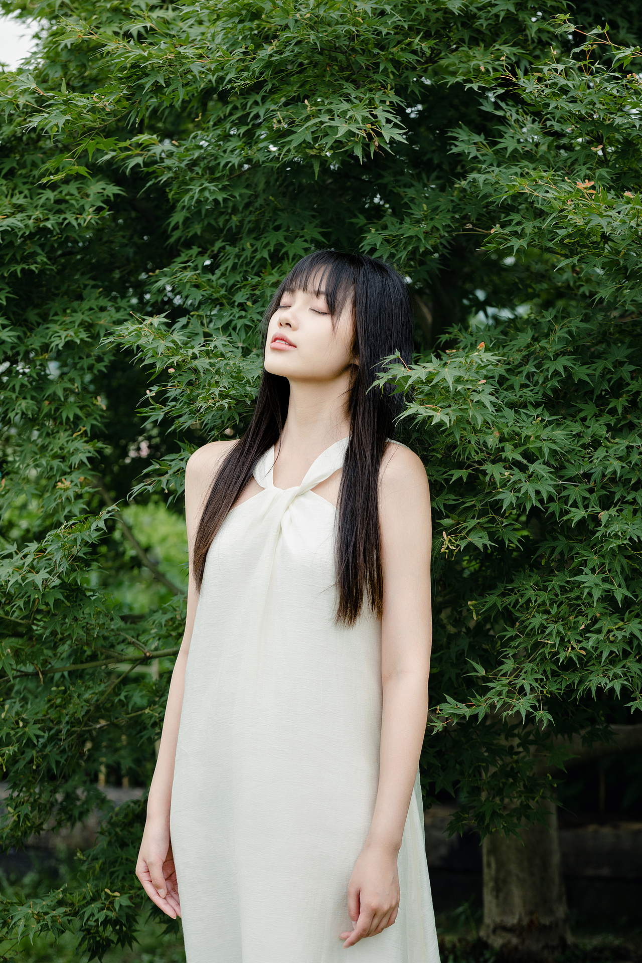 与一棵树的合影（图ZMzQwODg5OTIw） - 人像摄影 - 站酷设计师摄影师_暮辰原创素材 - 站酷ZCOOL