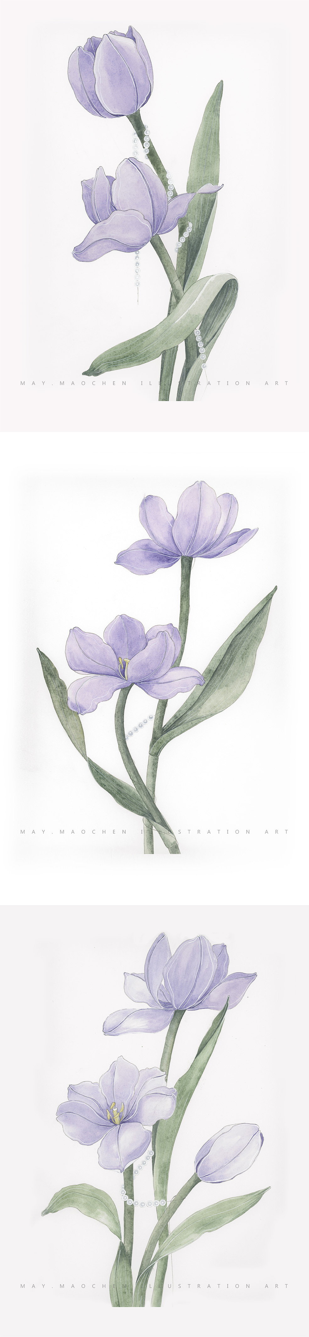 水彩花卉——紫色郁金香（图ZMzM0ODM0OTQw） - 艺术插画 - 站酷设计师五月猫辰原创素材 - 站酷ZCOOL