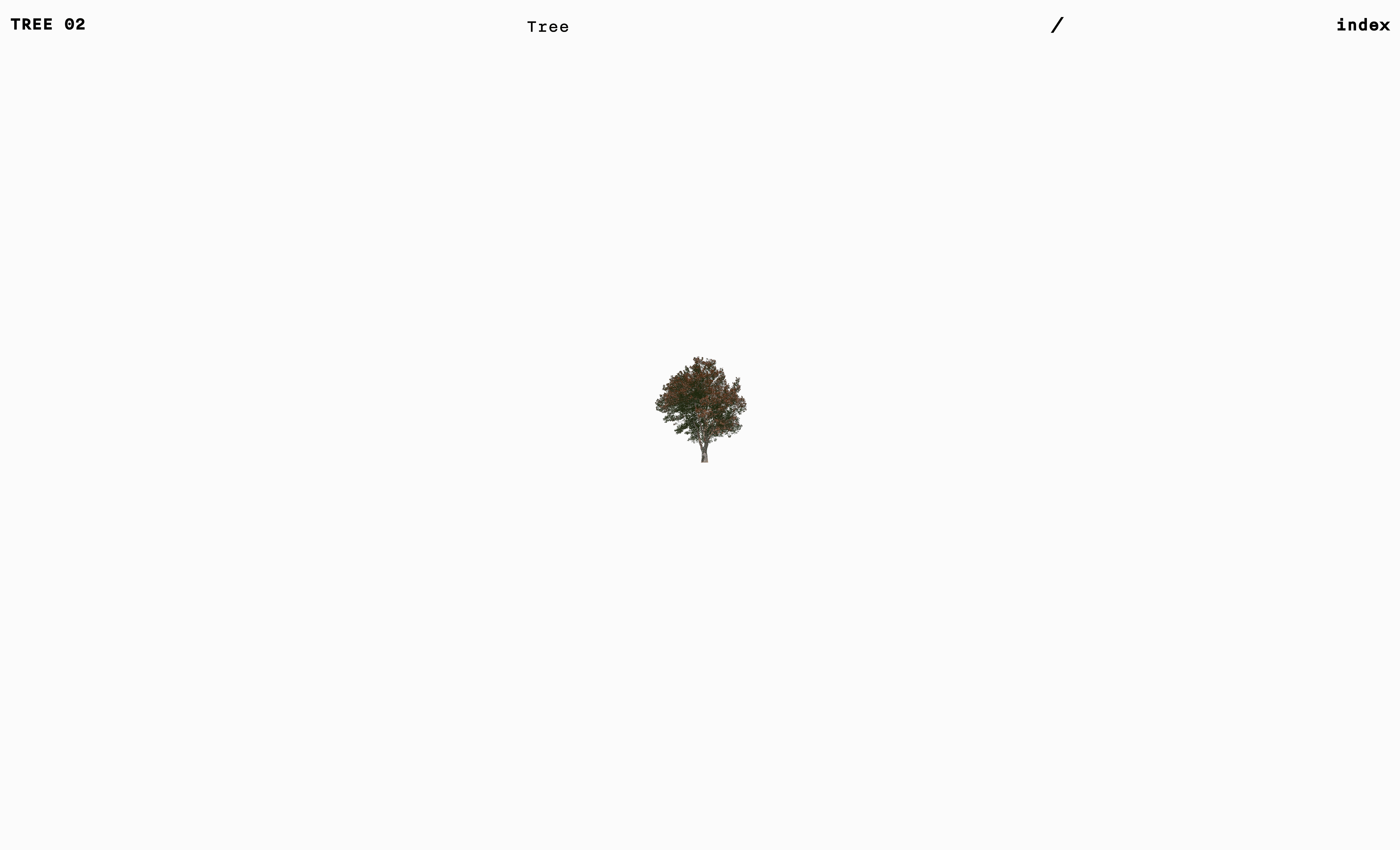 #2022青春答卷#第二棵树｜TREE 02（图ZMzA0MTEwNjky） - 其他网页 - 站酷设计师央美设计学院原创素材 - 站酷ZCOOL