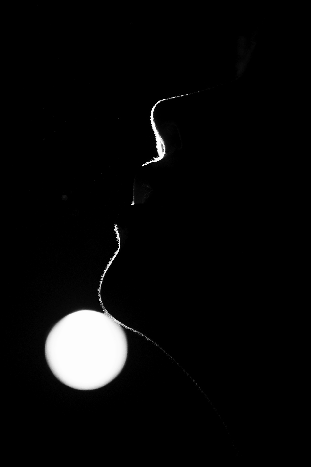 光影（图ZMjk3Mjk2NjQ0） - 人像摄影 - 站酷设计师L_F112原创素材 - 站酷ZCOOL