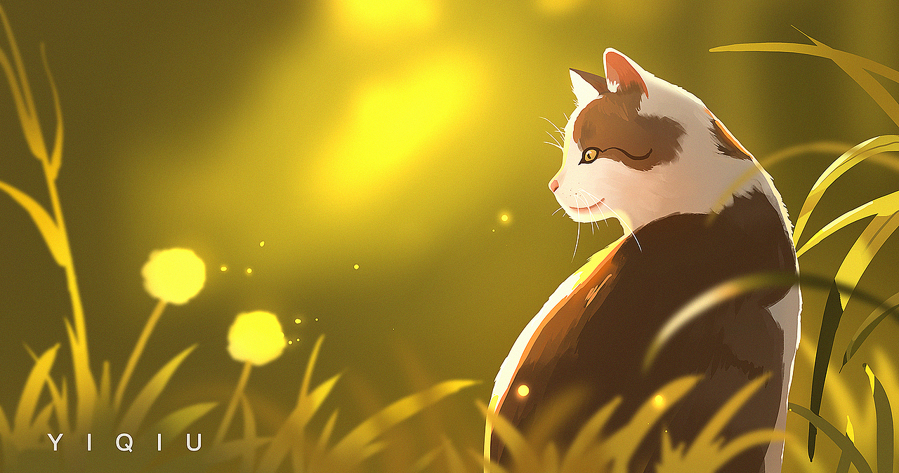 2023年1月-6月速涂总结