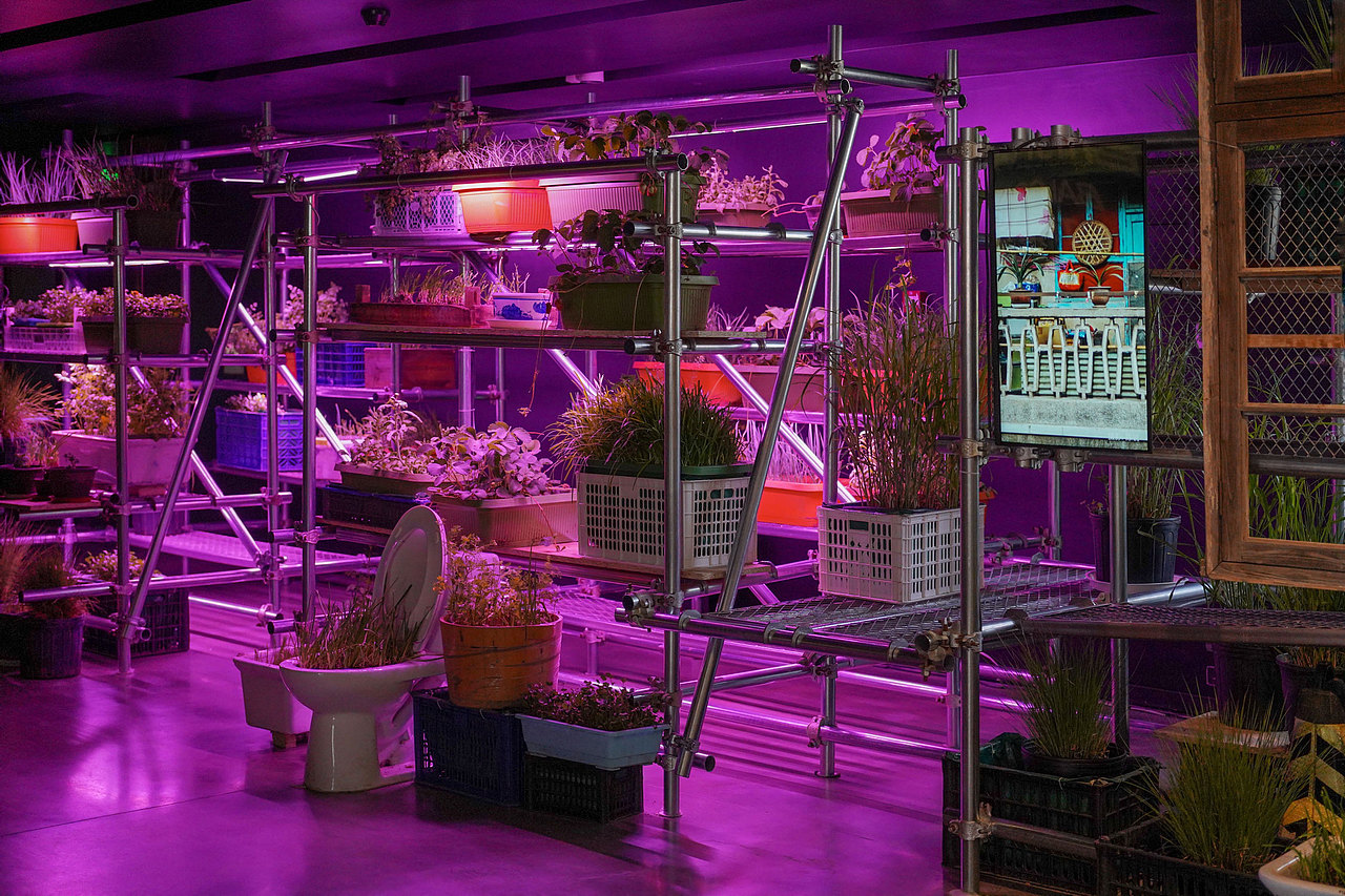 勇敢者的阳台 | 新媒体艺术展 视觉