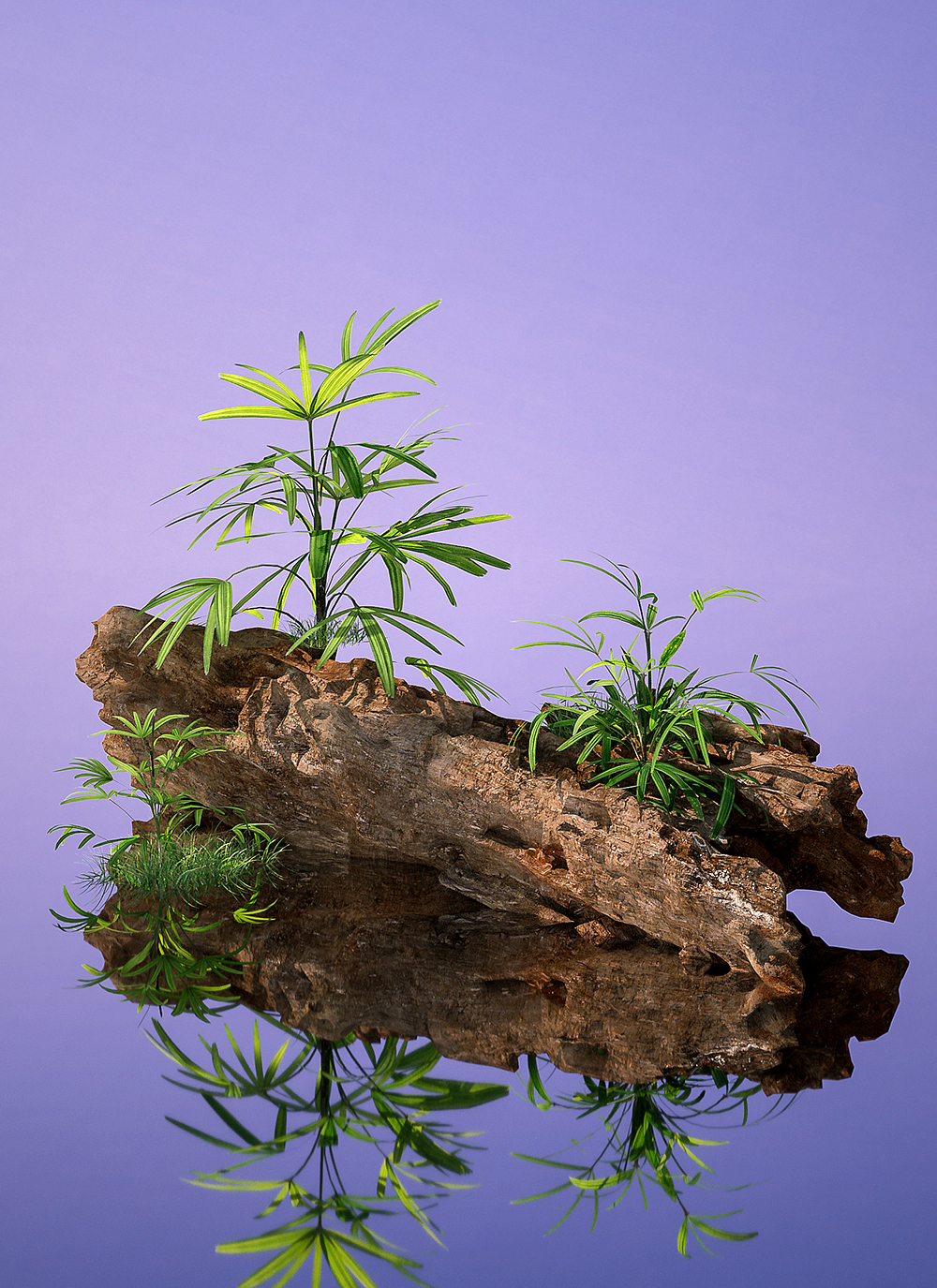 七月上旬化妆品精华液刀具作品集