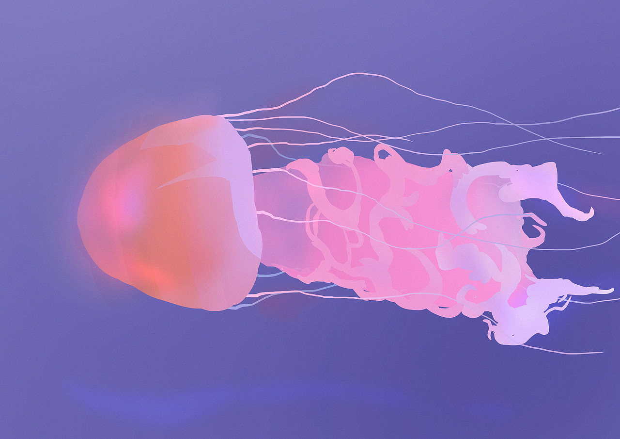 水母（图ZMzE3NzY5ODQ0） - 创作习作 - 站酷设计师南宫希迟原创素材 - 站酷ZCOOL