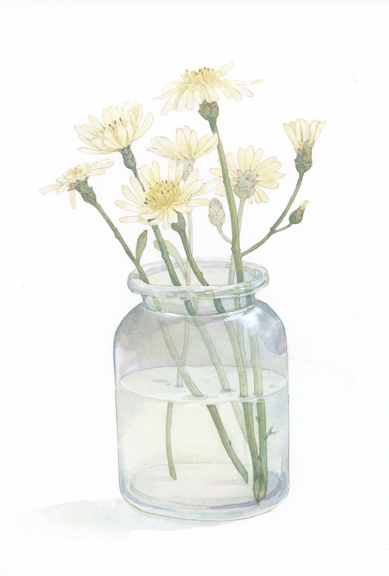 近期一些花卉作品