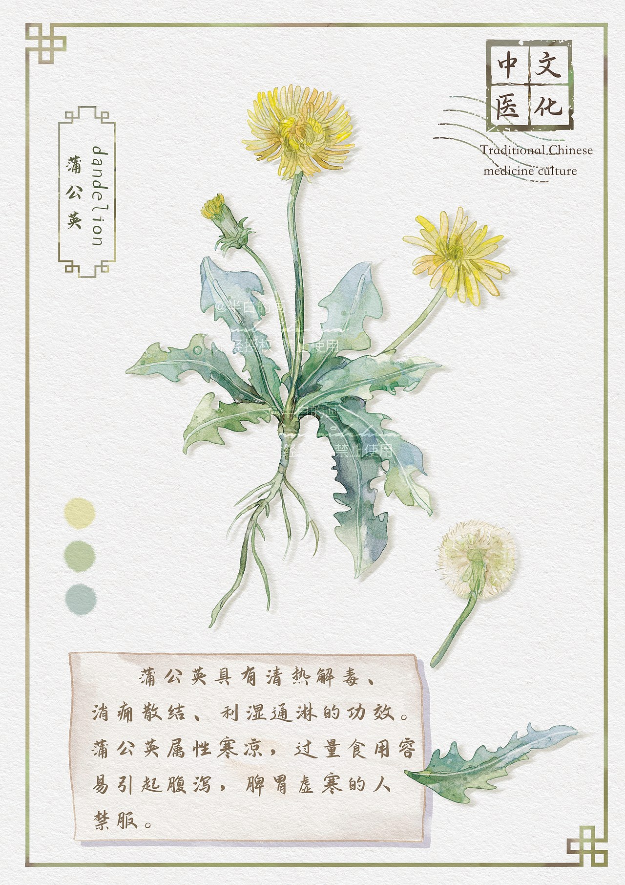 中草药插画（图ZMzYxMTYxNjI0） - 商业插画 - 站酷设计师半白的画原创素材 - 站酷ZCOOL
