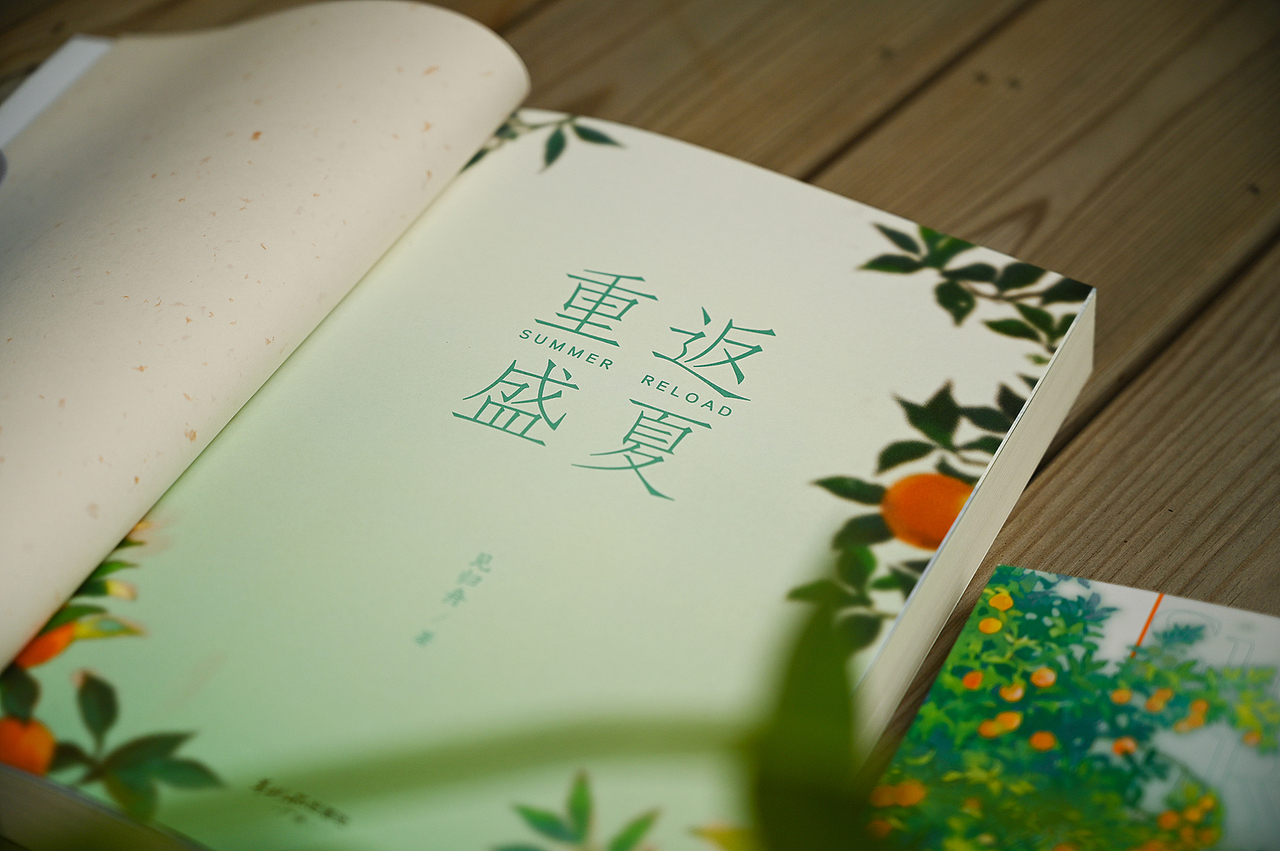《重返盛夏》小说设计