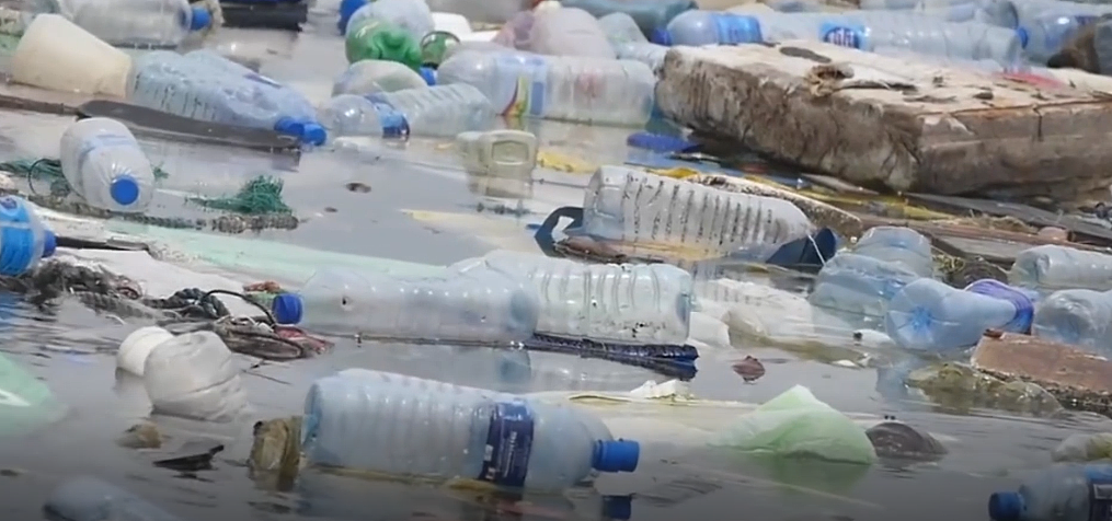 如果你放弃了。。。