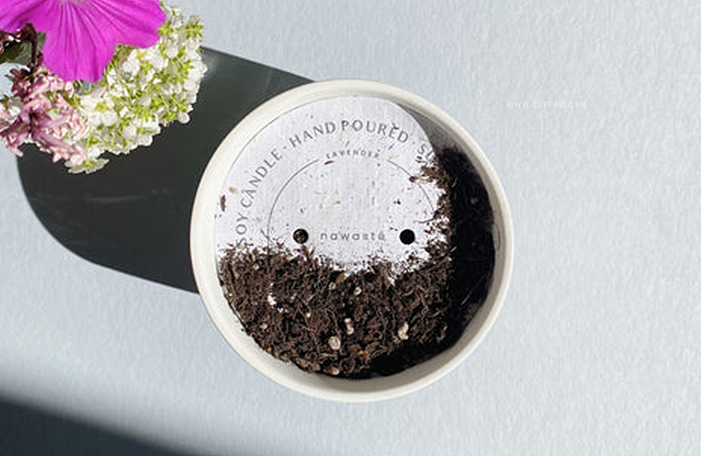 用完的香薰罐罐用来种植刚刚好 | 可种植的香薰防尘罩