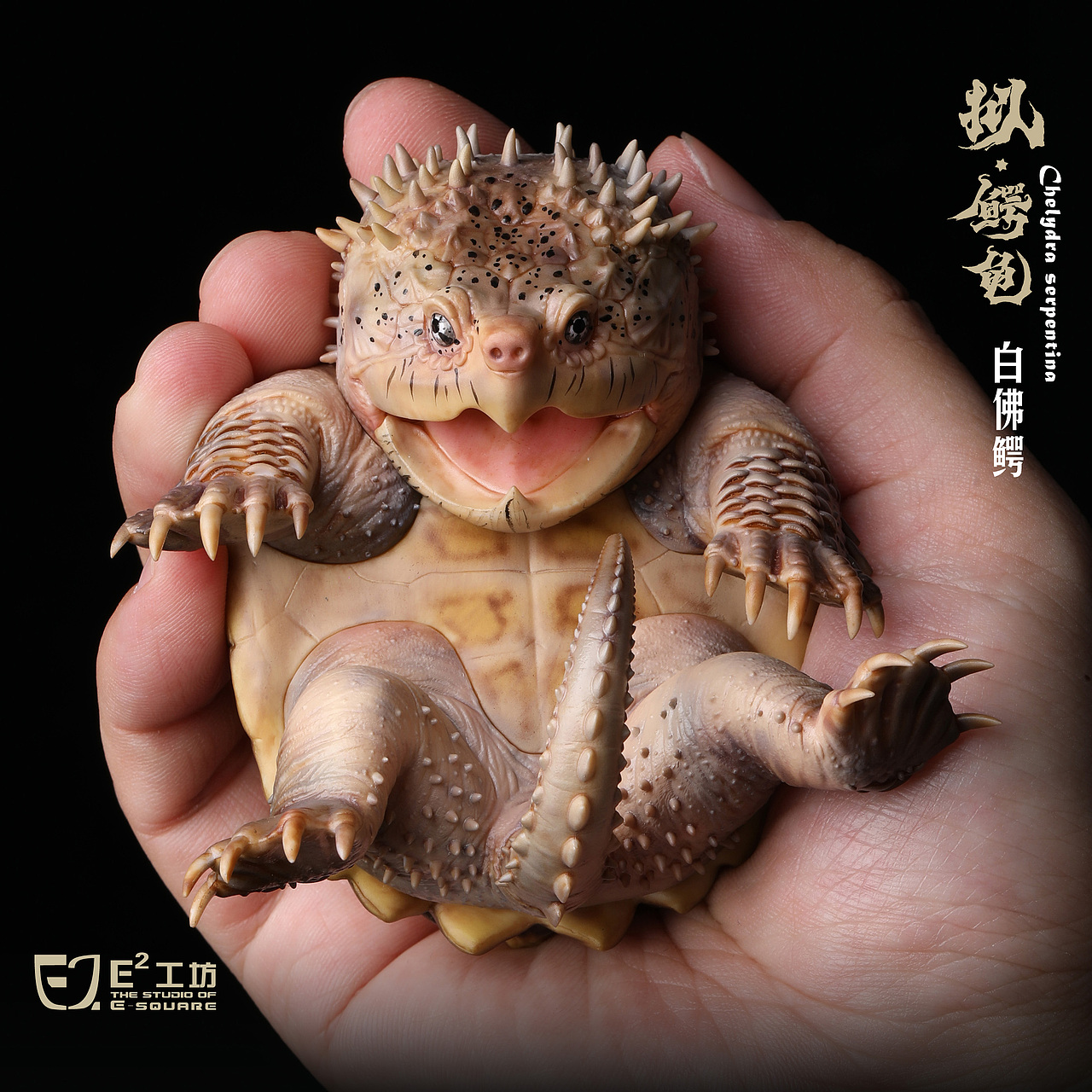 2023鳄龟系列--拟鳄龟