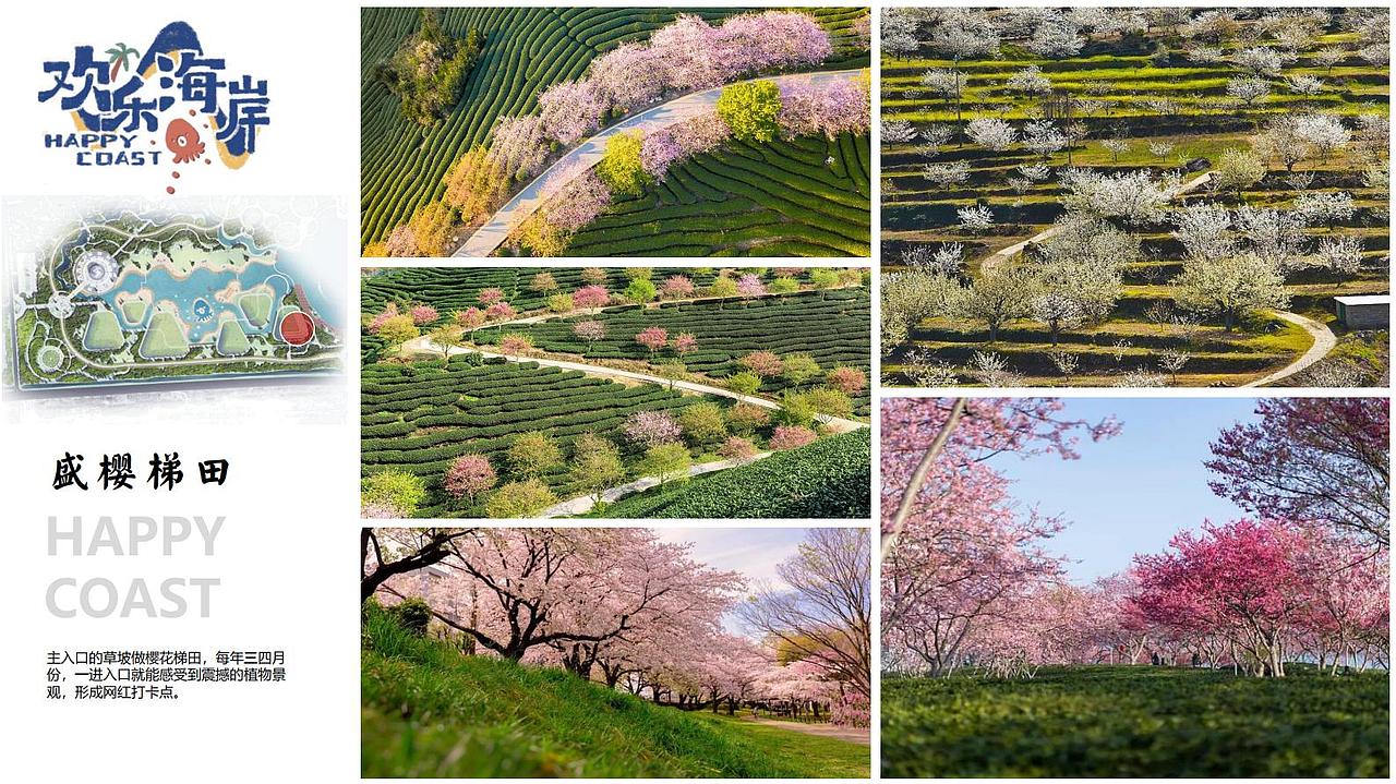 森林公园设计方案