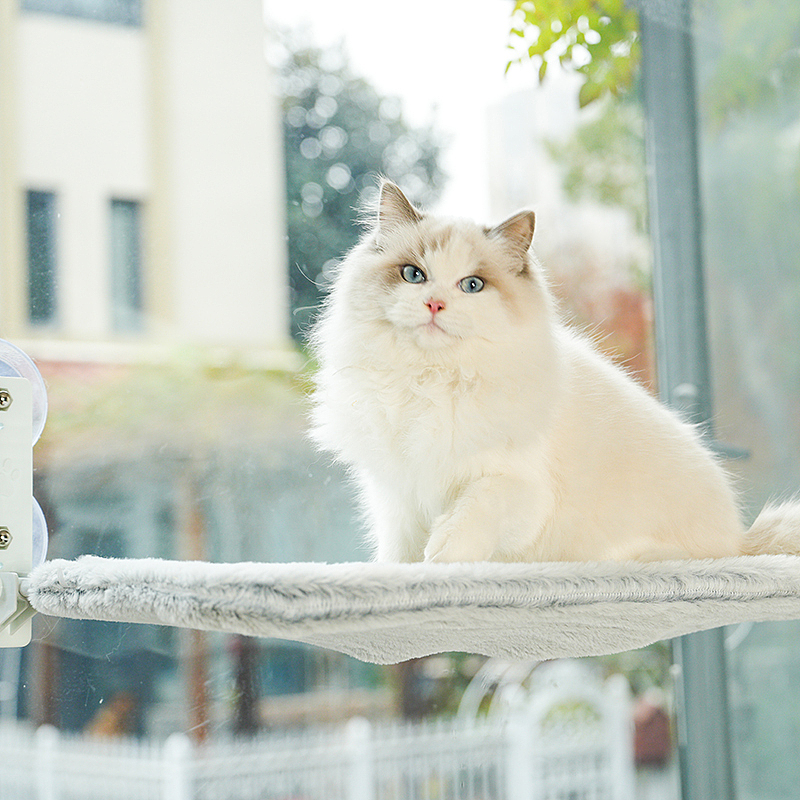 亚马逊产品摄影广告视频拍摄制作详情设计主图A+后期排