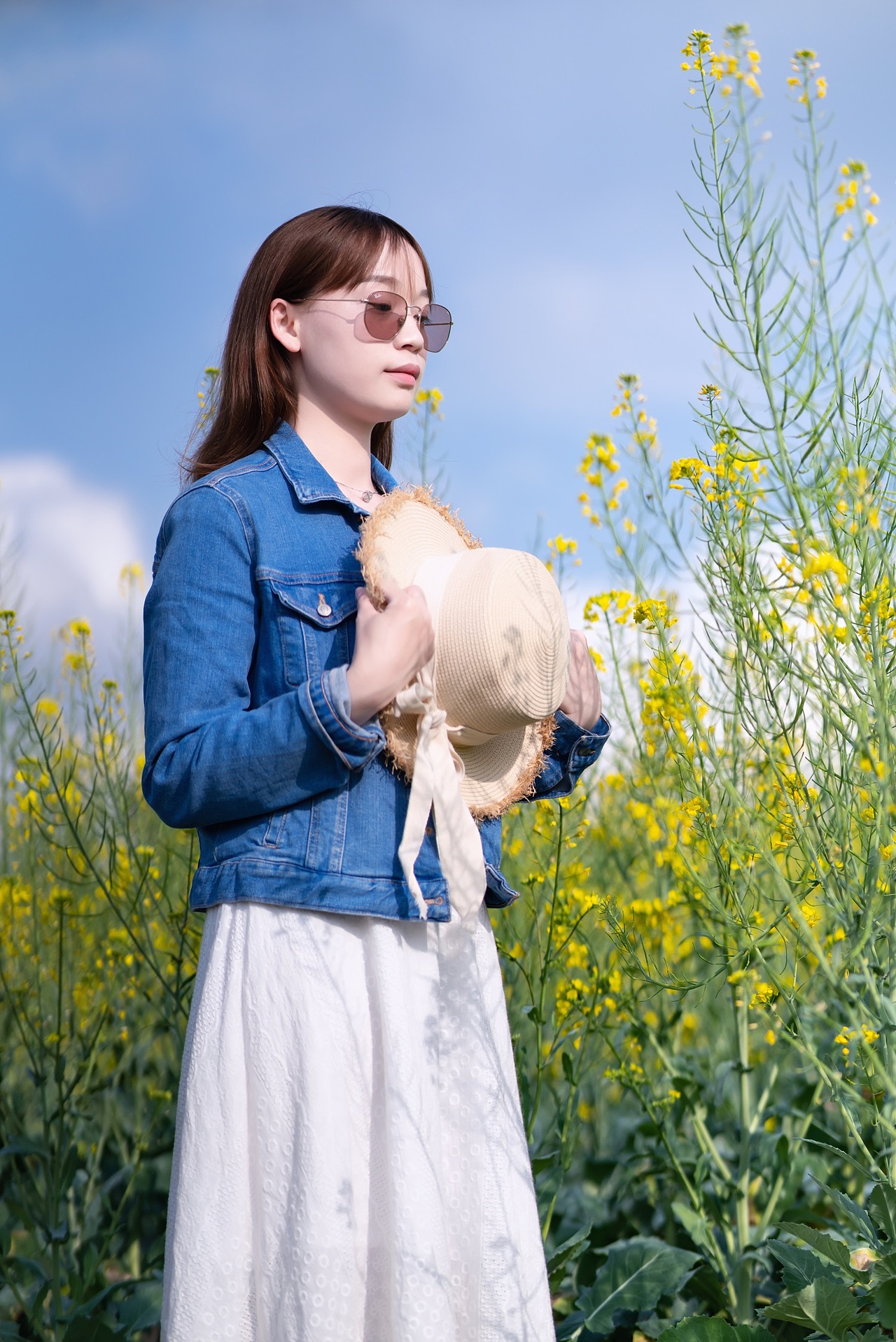油菜花写真 深圳石岩陌上花公园