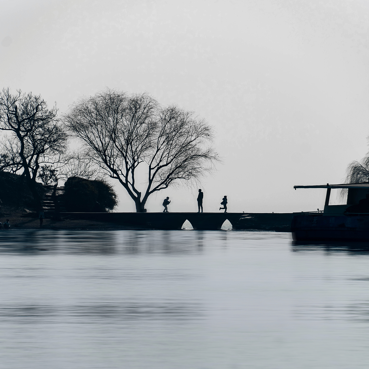 枯木会逢春相逢的人会再相见