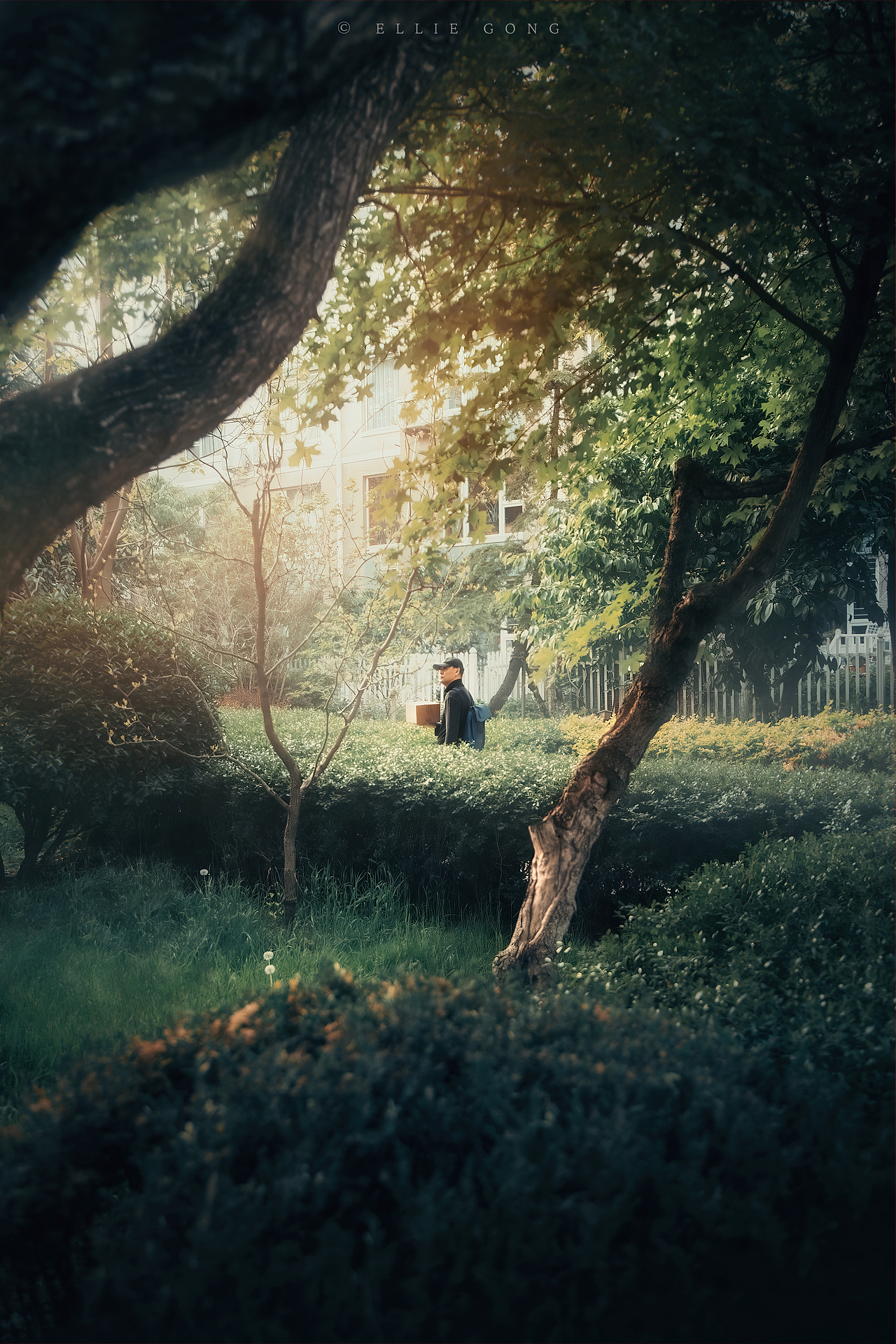 屬于我們的故事（圖ZMzQxODk0Njgw） - 其他攝影 - 站酷設(shè)計(jì)師3lliegong原創(chuàng)素材 - 站酷ZCOOL