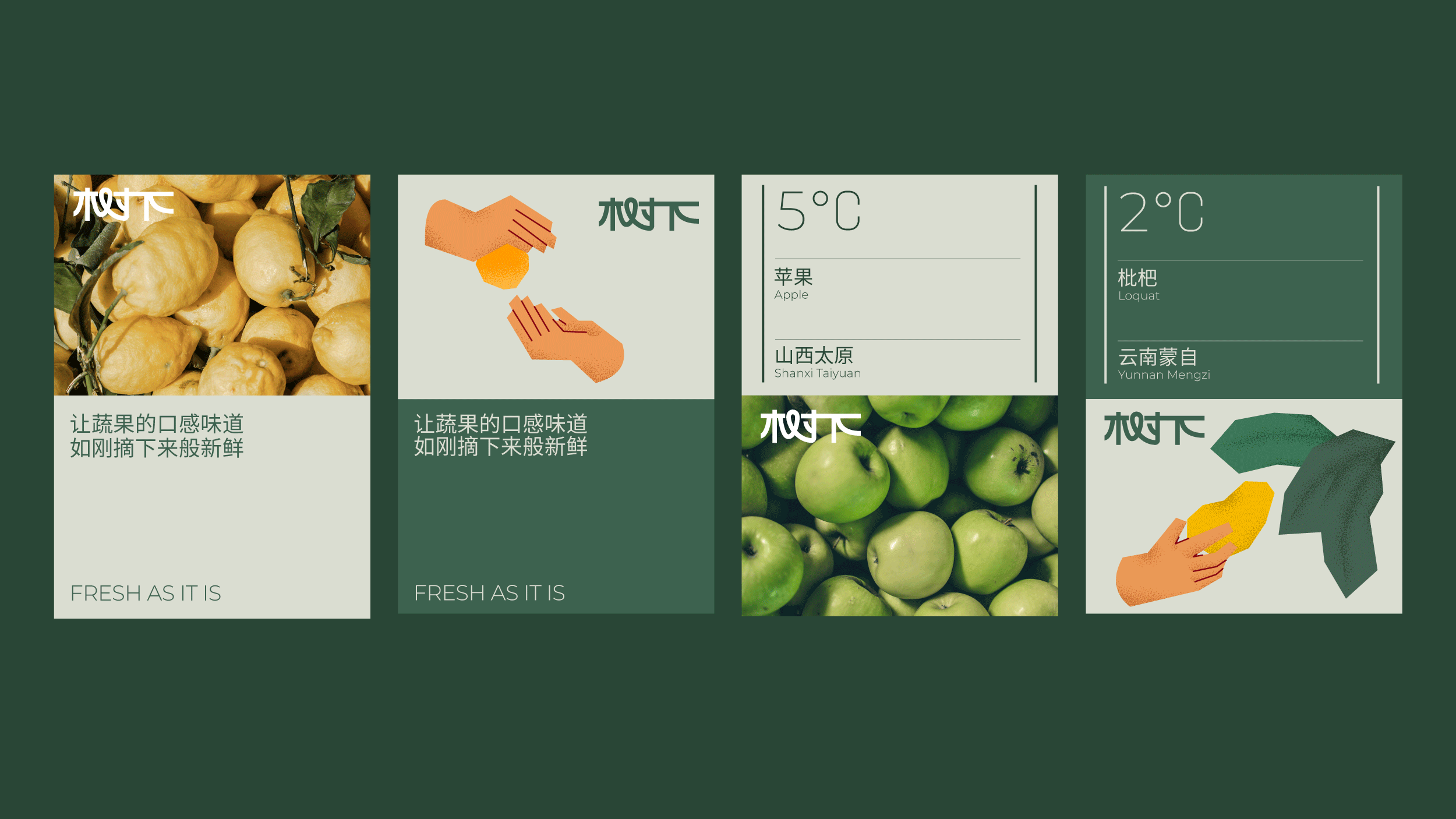 树下生鲜（图ZMzQ4ODQ5MjA0） - 品牌 - 站酷设计师SeetheDesign原创素材 - 站酷ZCOOL