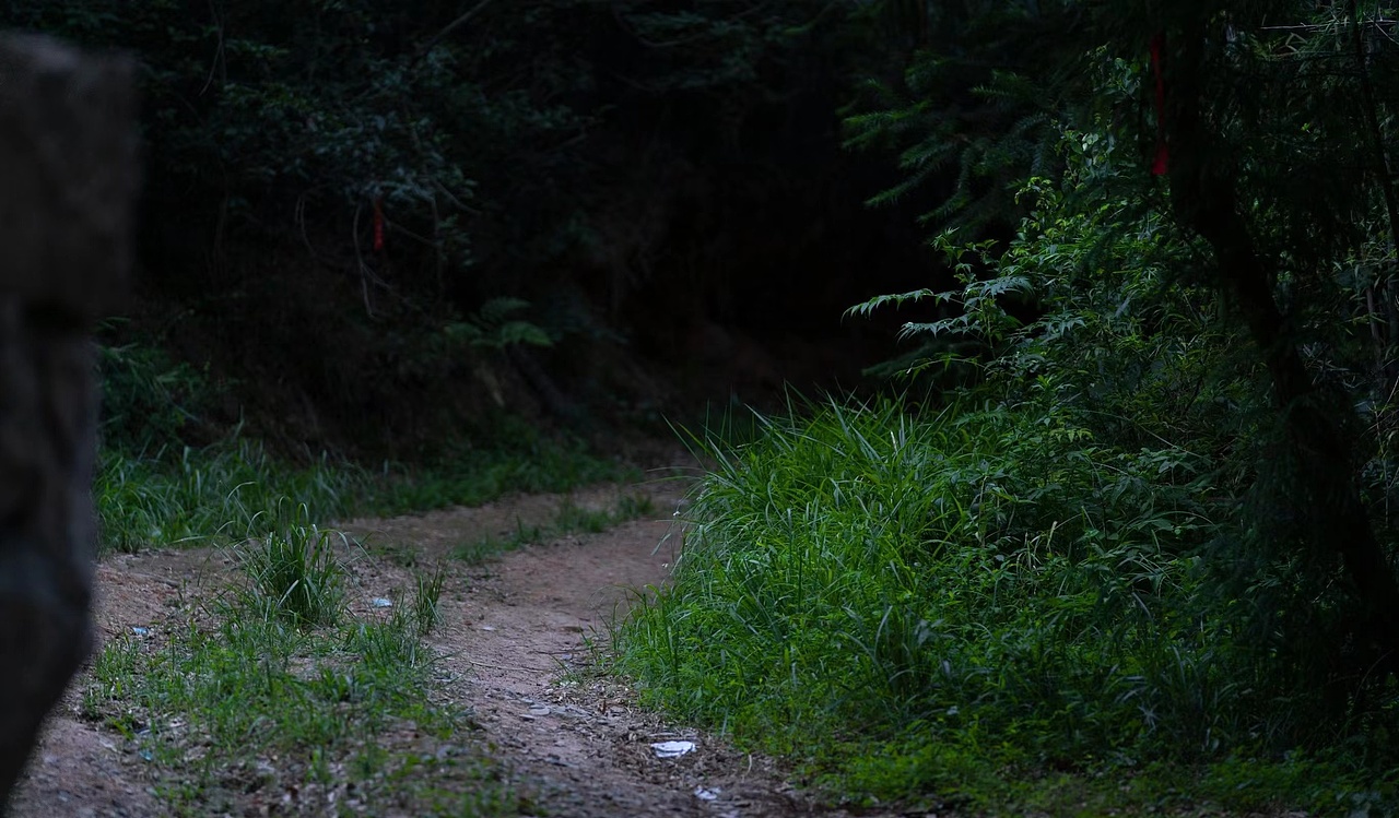 A7α3小试牛刀（图ZMzIwNTEzNzEy） - 风光摄影 - 站酷设计师晏淘淘是谁原创素材 - 站酷ZCOOL