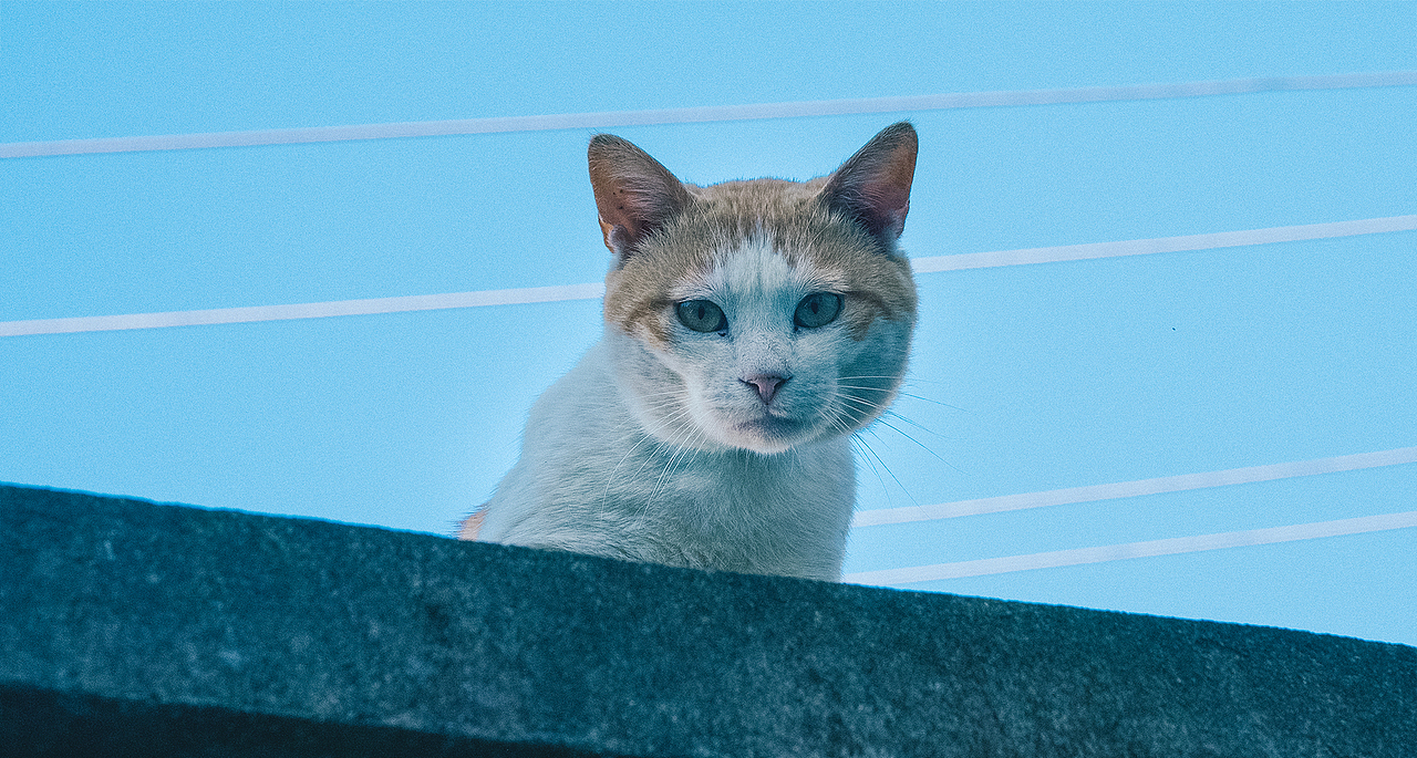 【午后摄影扫街】即将消失的老城区