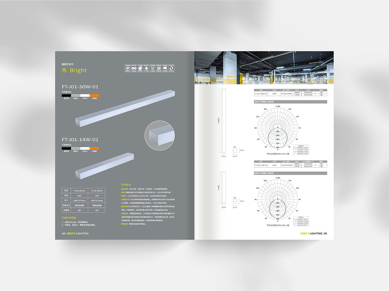 新辉光电|画册设计