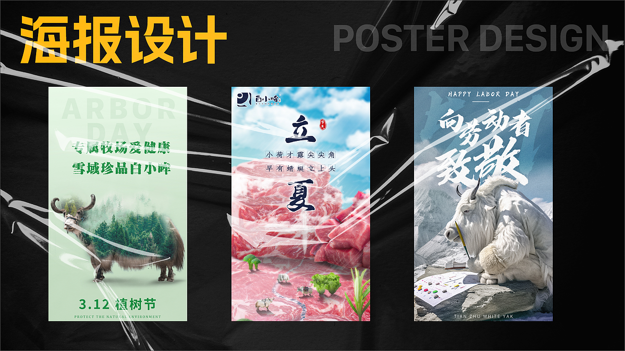 白小哞-天祝白牦牛项目