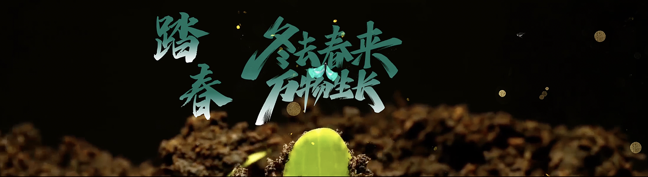 南京金陵二十四节气视频剪辑制作