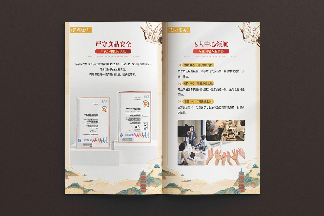 招商手册设计/产品手册