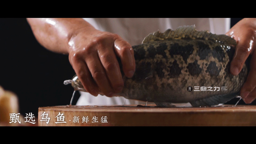 美食视频 | 王妈热卤 X SANDING（图ZMzA0NDE1MzQ0） - 短片 - 站酷设计师三鼎之力影视部原创素材 - 站酷ZCOOL