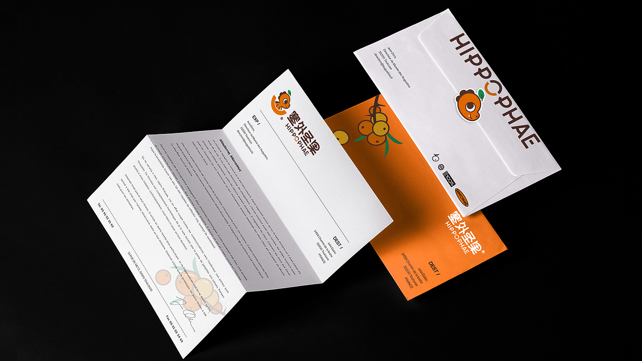LOGO 包装 包装设计 vi vi设计 ip ip设计 饮料包装(图ZMzUxMTY0MDY0) - 品牌 - 站酷设计师郑昌洪品牌vi包装原创素材 - 站酷ZCOOL