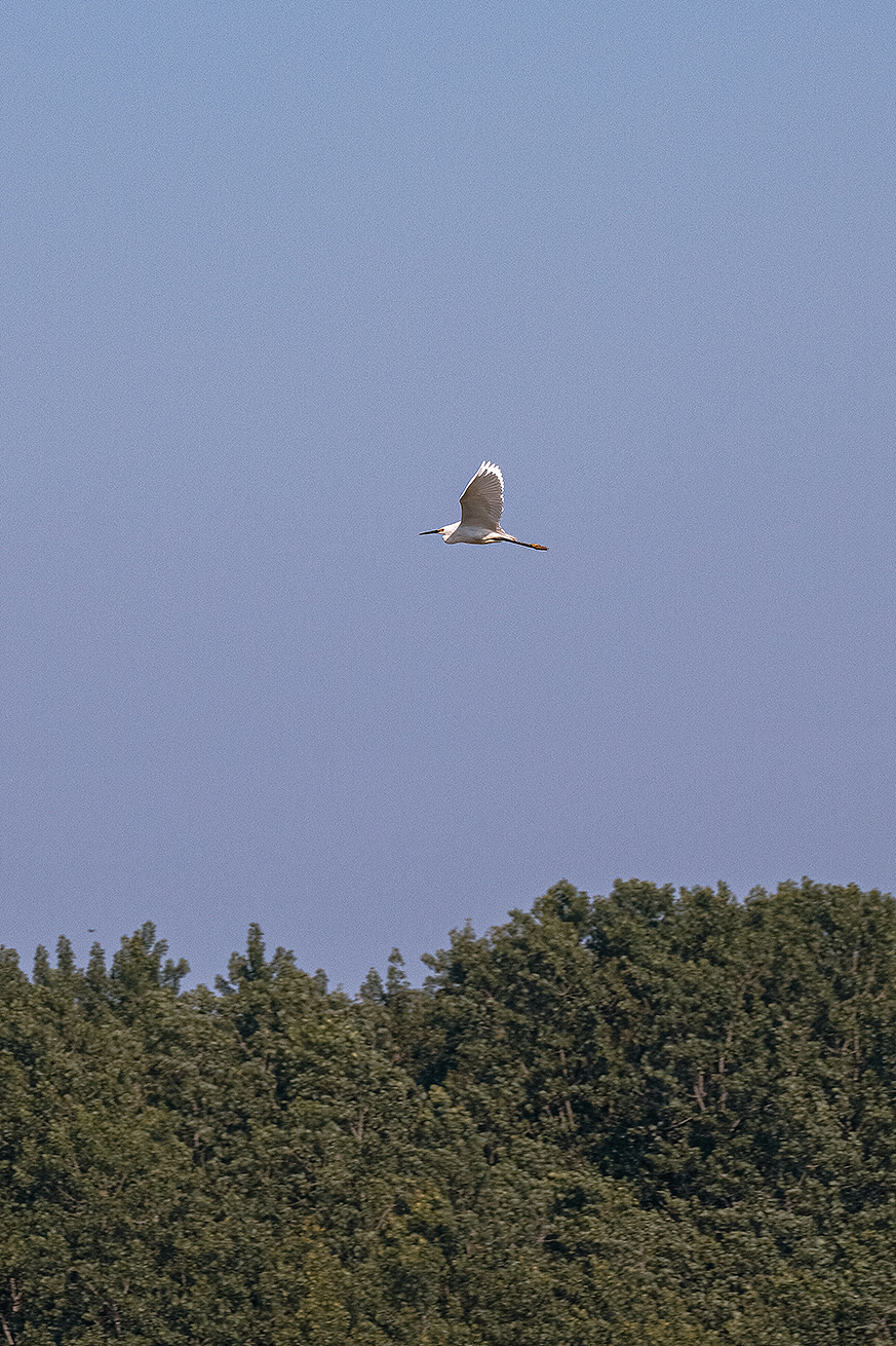 在田间,感受风的气息
