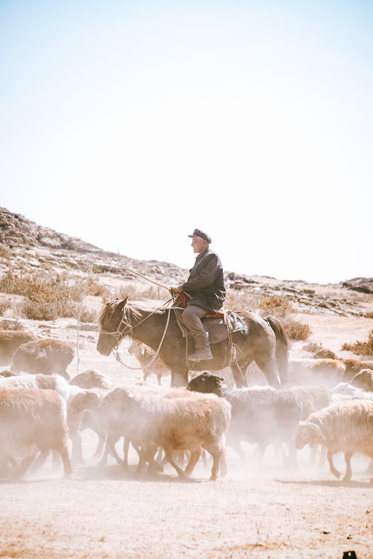 北疆喀纳斯禾木乡之旅（图ZMzE1NTgwNzA4） - 人文/纪实摄影 - 站酷设计师拾光朝圣者原创素材 - 站酷ZCOOL