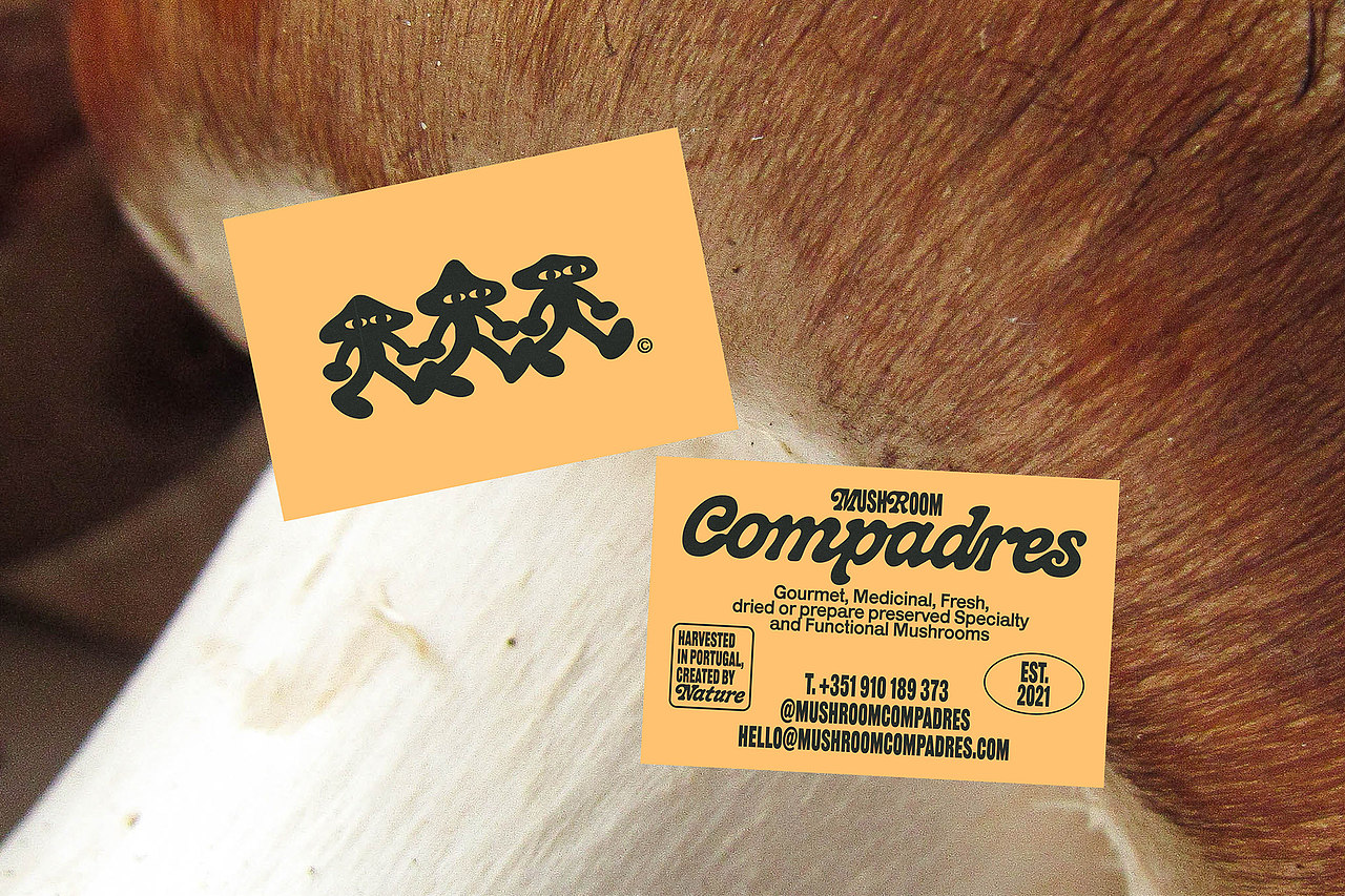 设计分享/Mushroom Compadres（图ZMzQwNTA3NzE2） - 品牌 - 站酷设计师BranD杂志原创素材 - 站酷ZCOOL