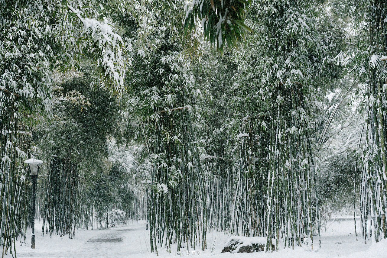 橘子洲·初雪（图ZMzE2MTkzMzA4） - 风光摄影 - 站酷设计师是汪汪汪呀原创素材 - 站酷ZCOOL