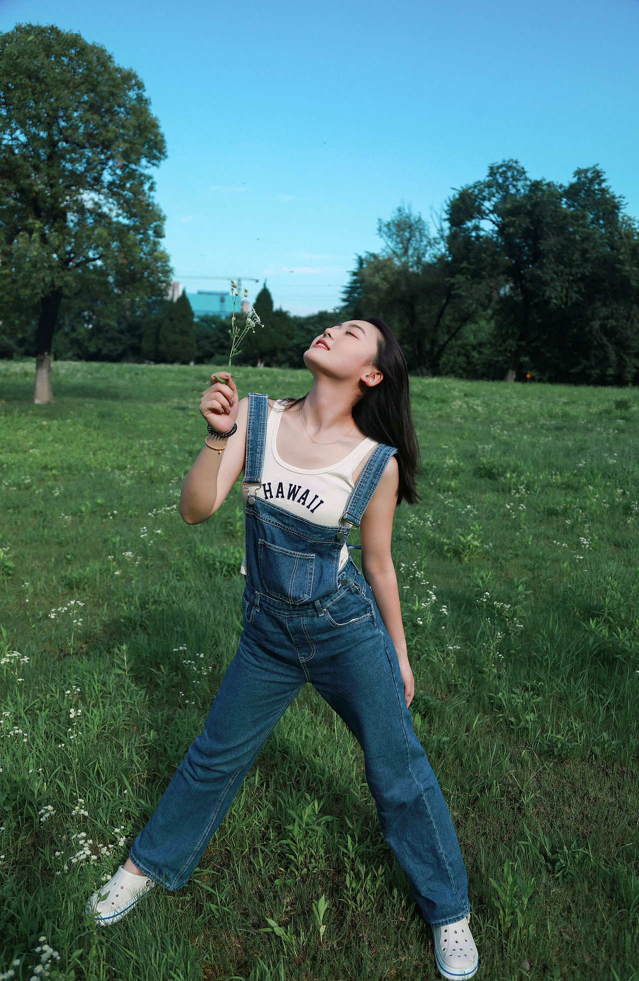 在冬日想念夏日