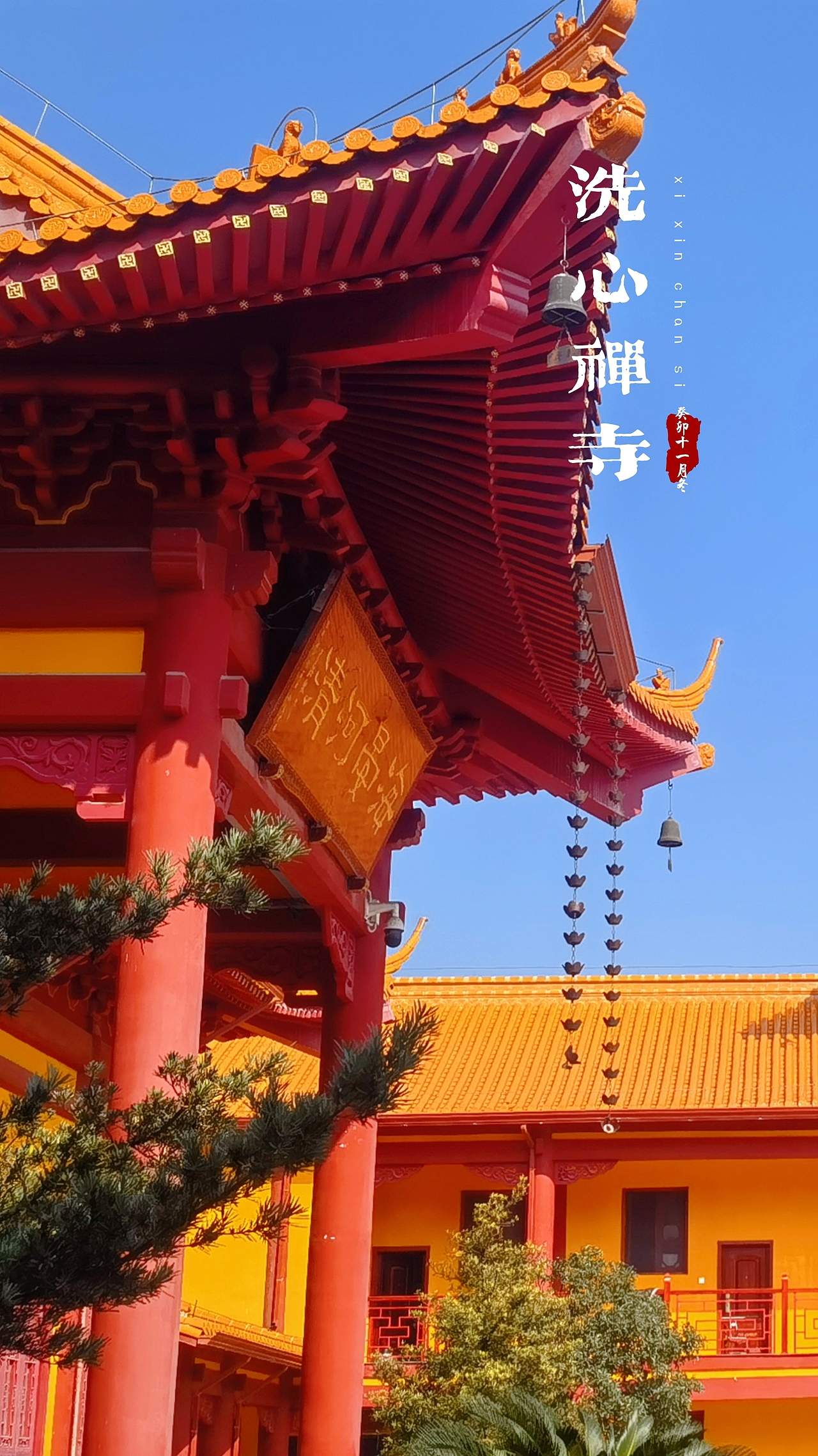 洗心禅寺-2023年秋