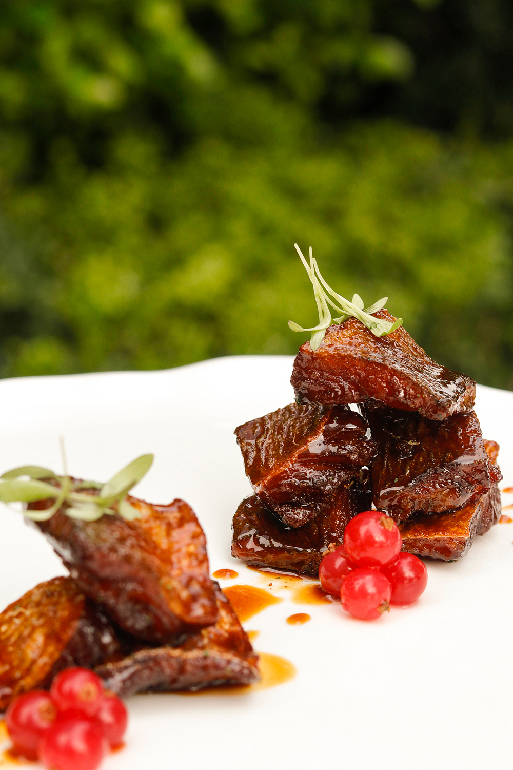 2023 东室 春季菜拍摄