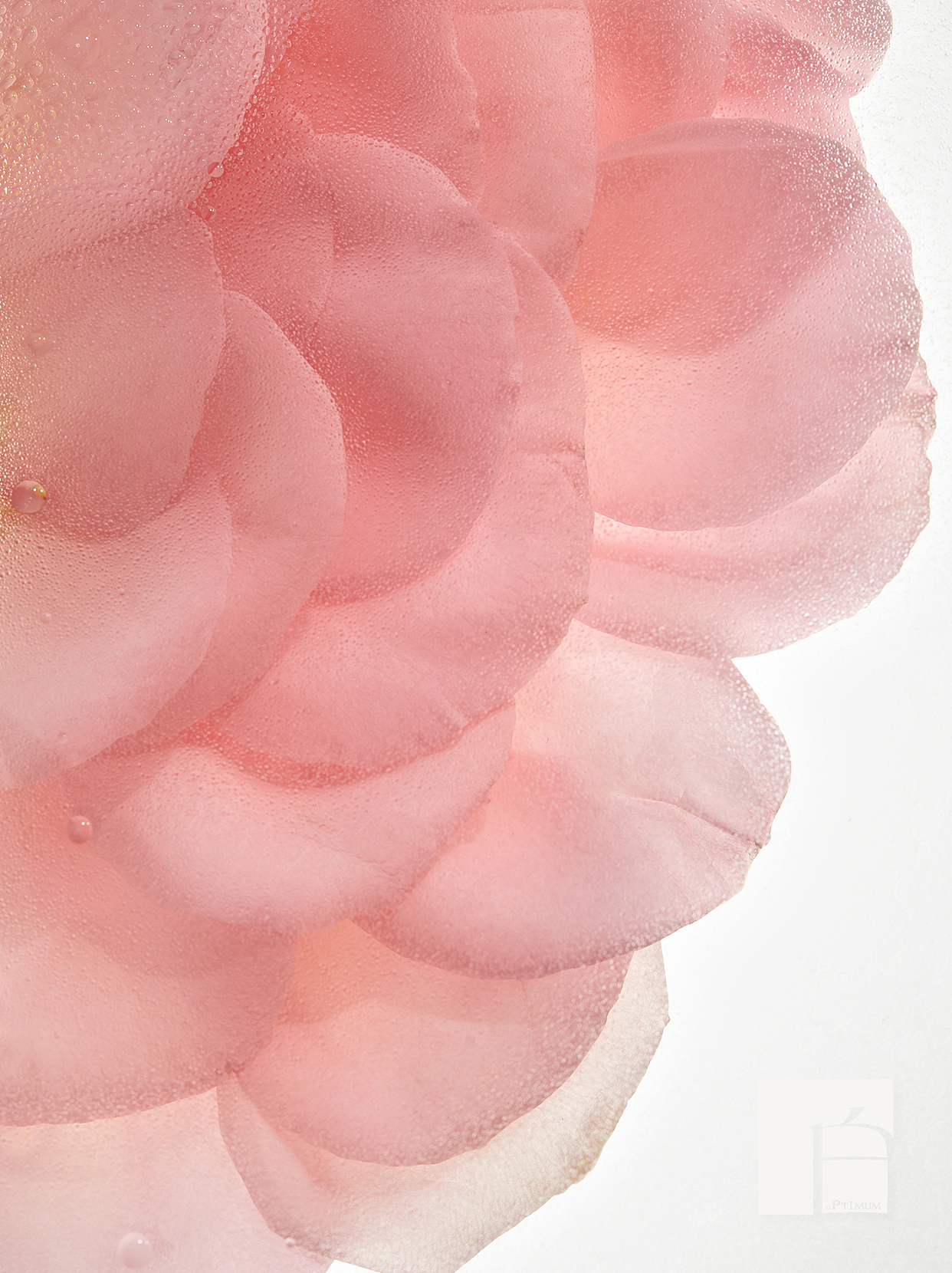 花觅记 - 爽肤水 | 美妆护肤摄影（图ZMzY3NDI4OTIw） - 产品摄影 - 站酷设计师OPTIMUM白原创素材 - 站酷ZCOOL