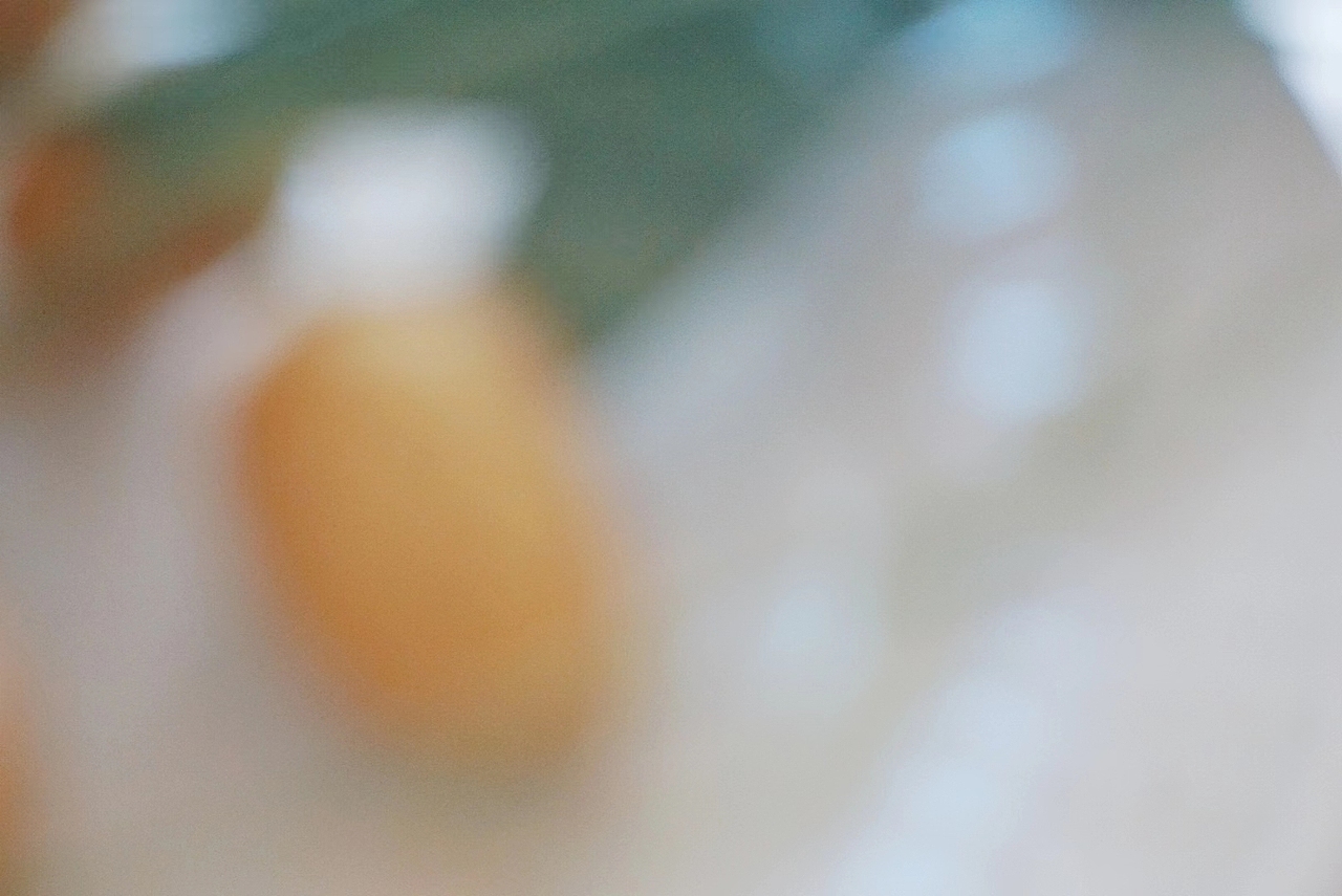 「黄皮」 “碧树历历金弹垂,膏凝甘露嚼来奇。”