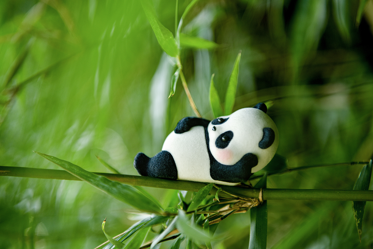 panda roll熊猫滚滚_evil7live-站酷zcool