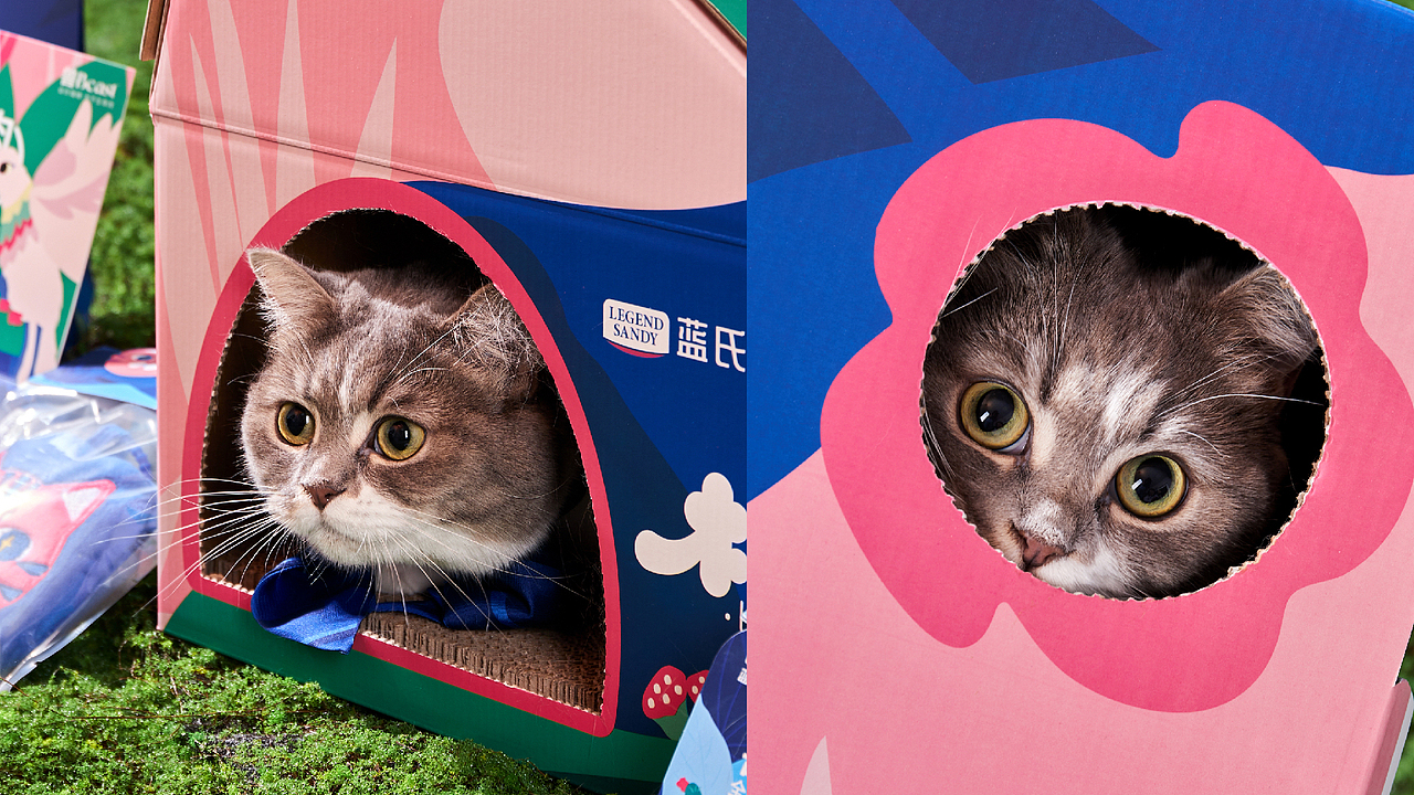 蓝氏造梦礼盒设计（图ZMzQ1MTM4OTc2） - 品牌 - 站酷设计师花花HaHa花原创素材 - 站酷ZCOOL