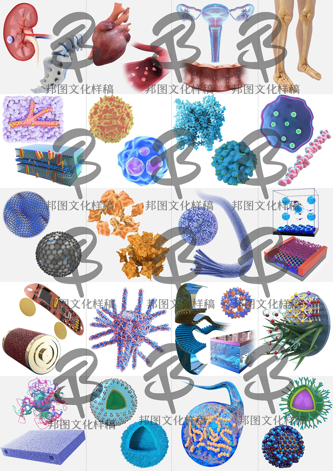 医学插画 学术期刊封面设计 科研绘图