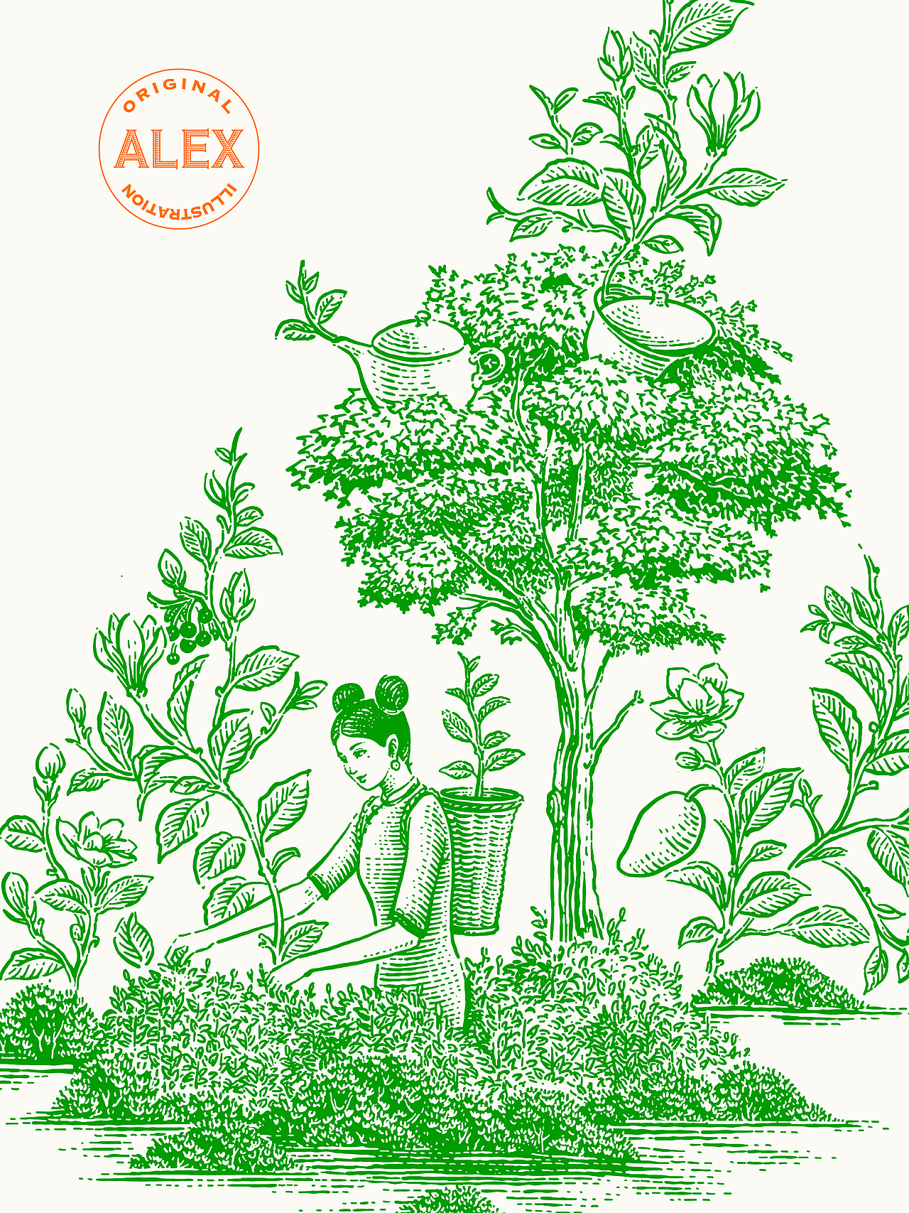 原创插画|沪上阿姨茹伊纹（图ZMzUwNzA4OTk2） - 商业插画 - 站酷设计师花椒的Alex原创素材 - 站酷ZCOOL