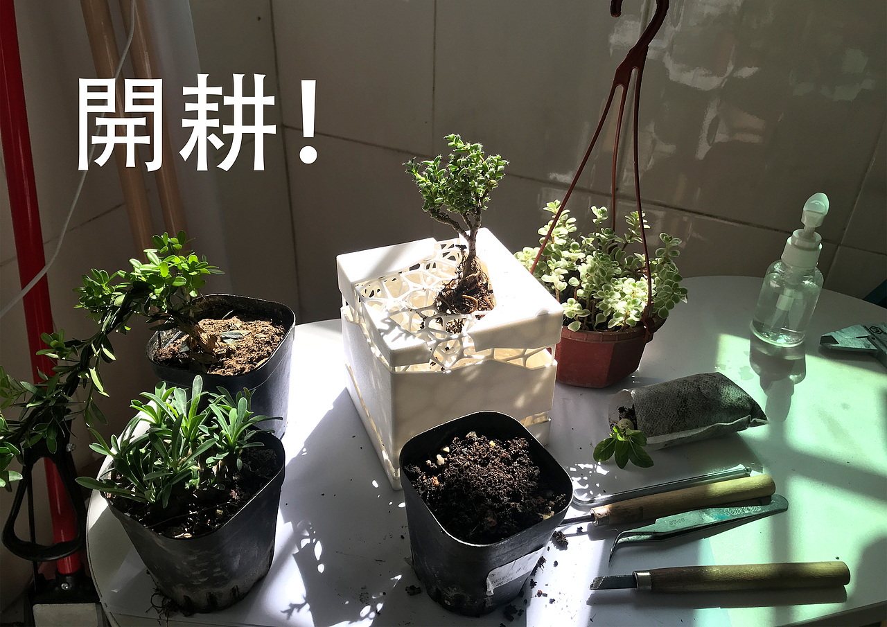 植物房子（图ZMzIxNzUwNzk2） - 生活用品 - 站酷设计师小红帽大俊原创素材 - 站酷ZCOOL